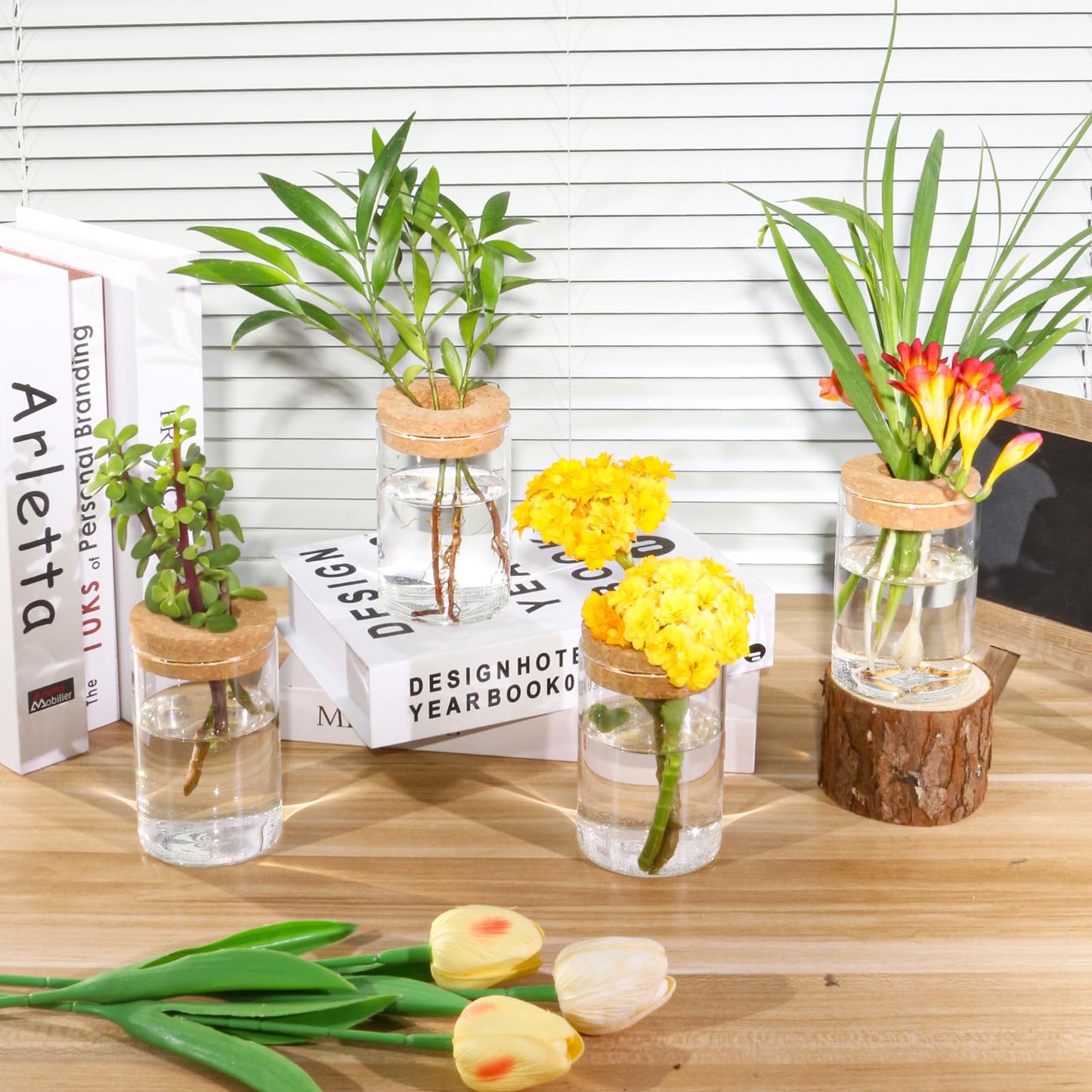 wangsdjy Separated Desktop Glass Flower Vases - Ideal Plants Propagation Stations for Living Room, Bedroom Decoration,Home Decor (2)