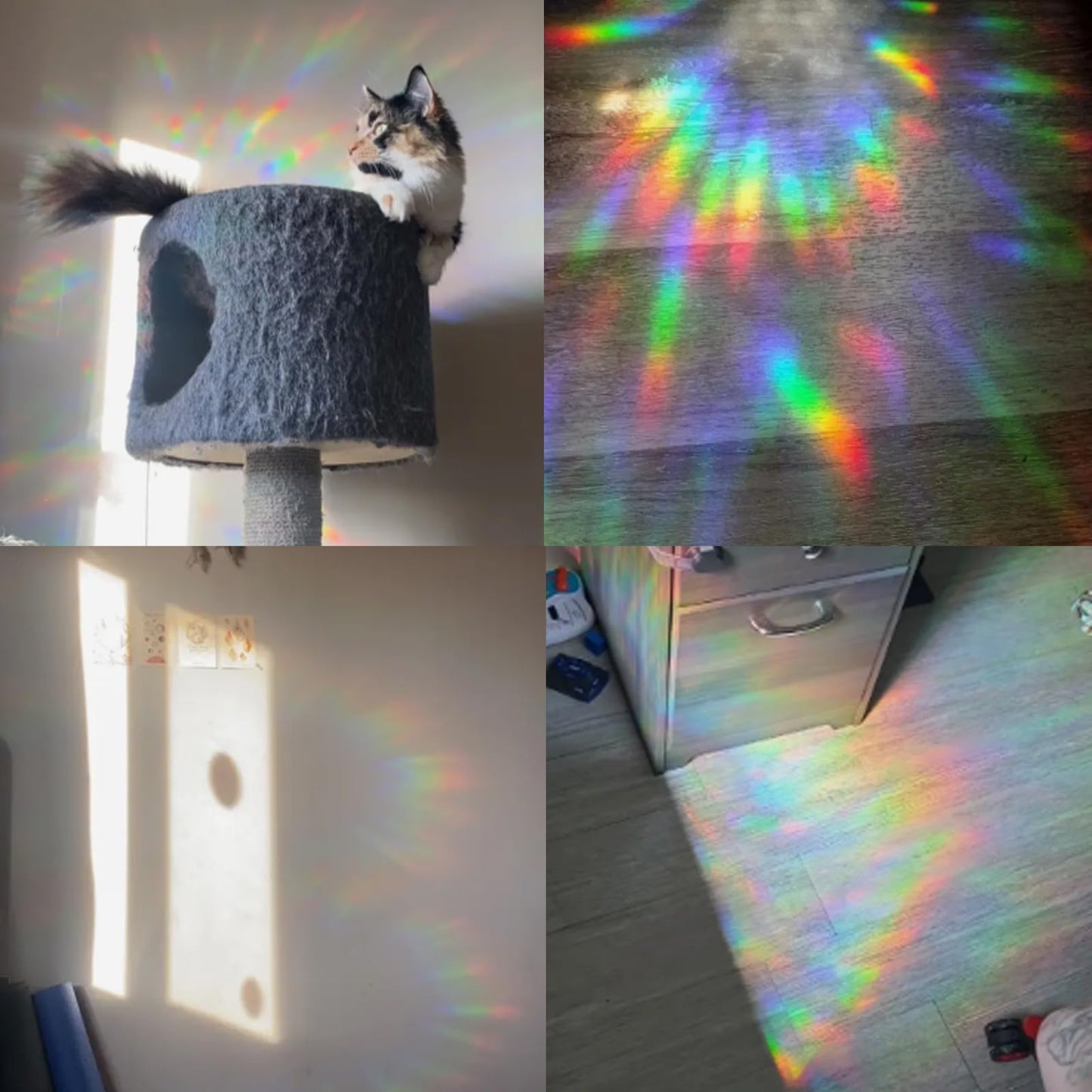 Suplanet Dragonfly Window Clings for Glass Windows, Bird Anti Collision Window Stickers for Birds, Window Decals to Prevent Bird Strikes, Non Adhesive Window Prism, Sun Catchers Indoor Window