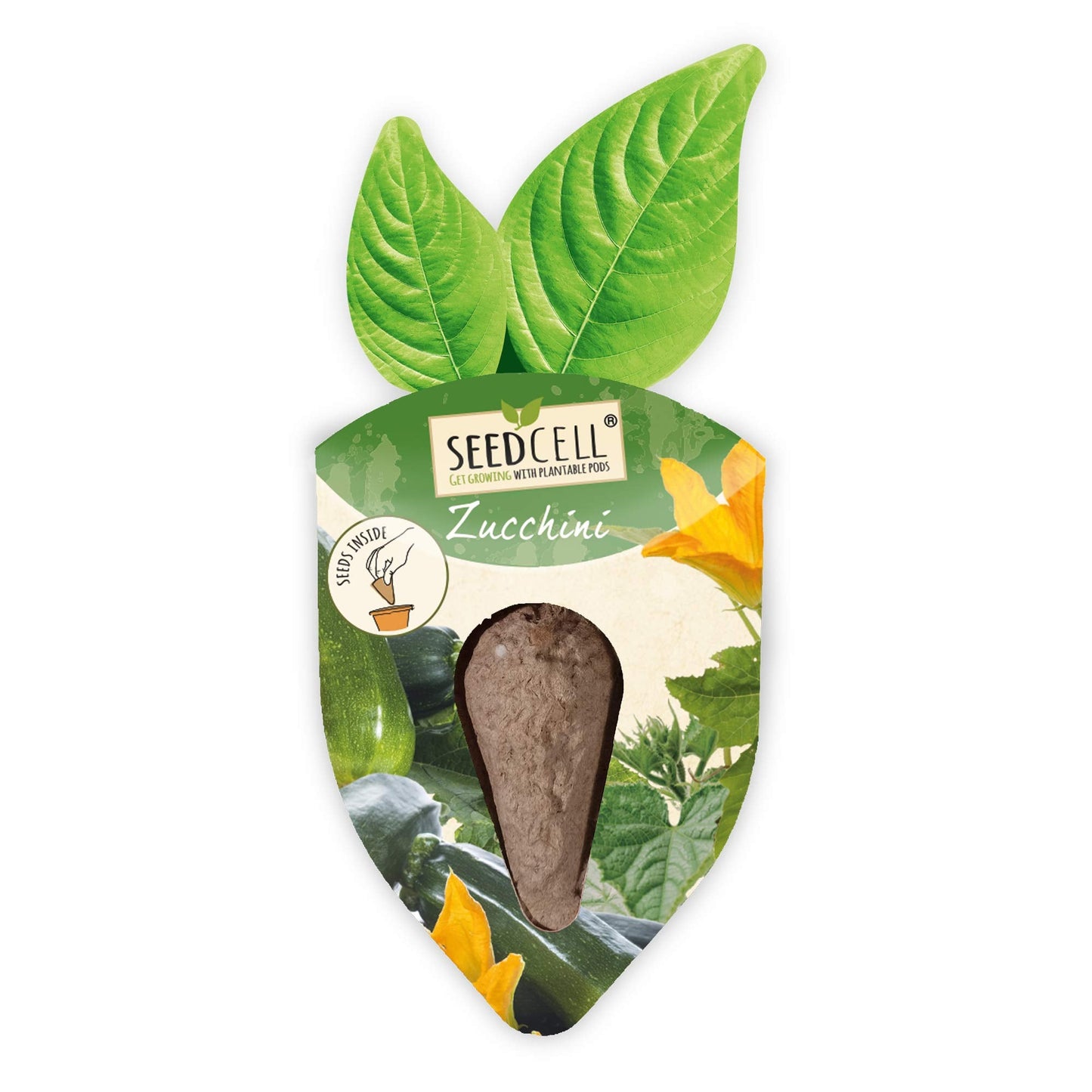 Vegtrug Seed Pods Kit - Vegetable Patch, Non-GMO Seeds with Fully Biodegradable Seed Pods, Contains Seeds of Broccoli, Zucchini, Pumpkin, and Butternut Squash, Pack of 1