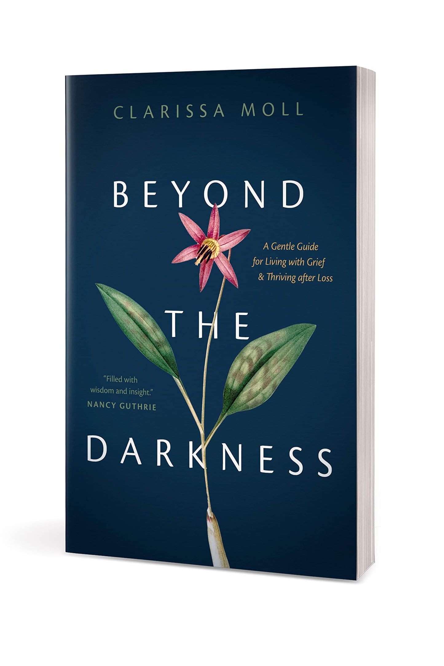 Beyond the Darkness: A Gentle Guide for Living with Grief and Thriving after Loss