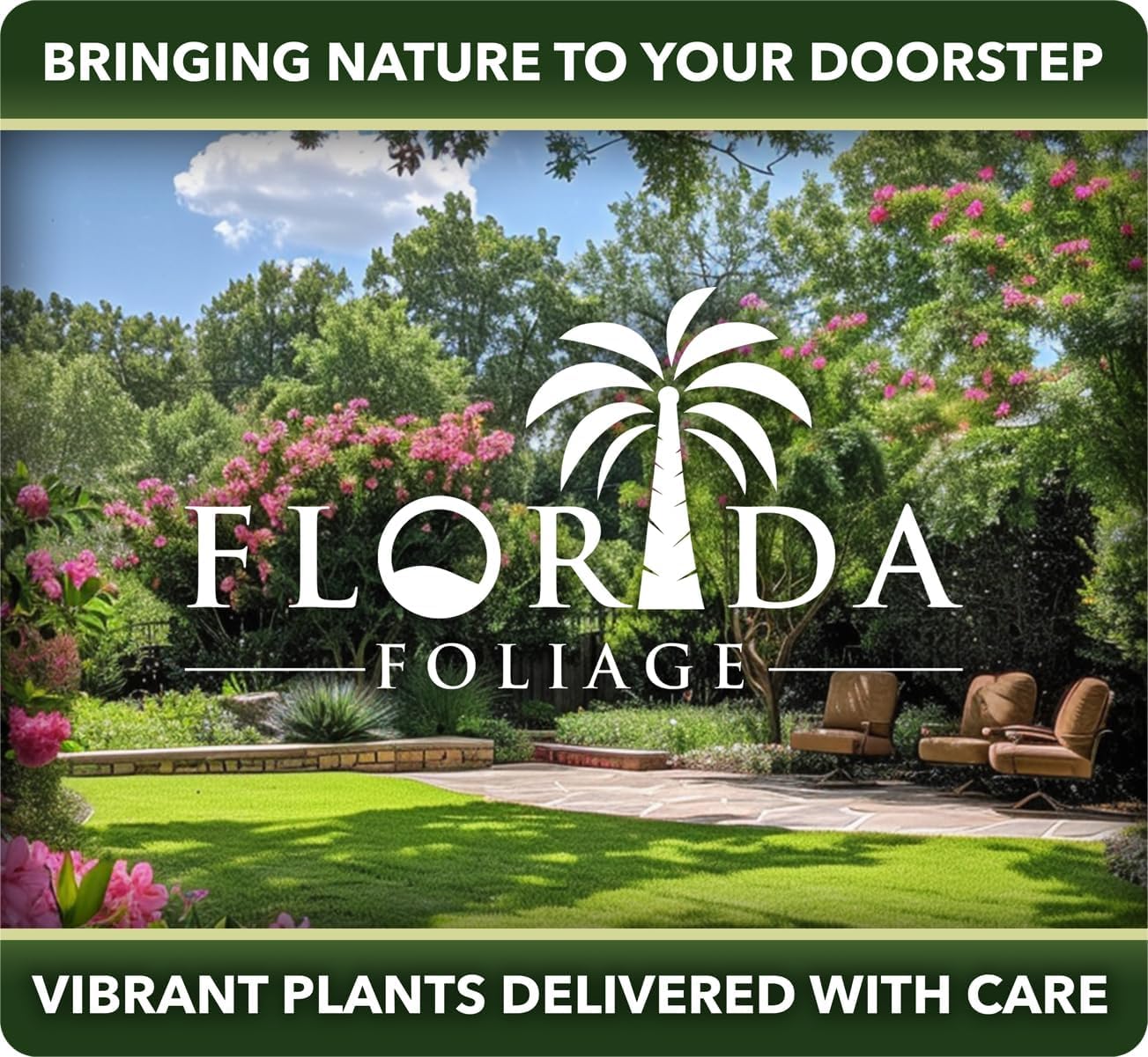 Star Jasmine | 2 Extra Large 3 Gallon Plants | Trachelospermum Jasminoides | Fragrant Climbing Vine | Ideal for Trellises and Arbors