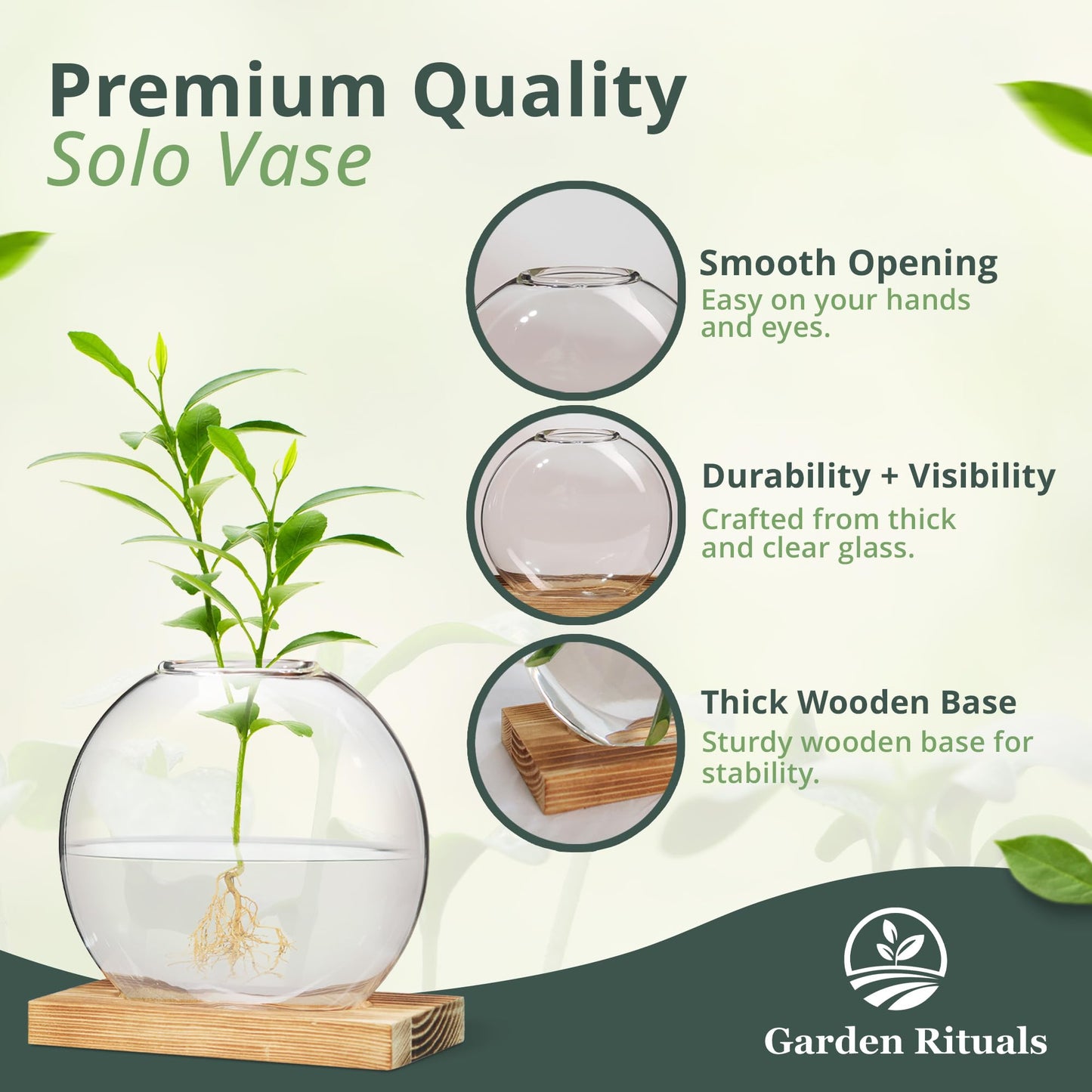 Garden Rituals - Plant Propagation Station Vase, Glass Terrarium Jars, Modern Hydroponic Planters for Indoor Plants, Desktop Glass Pots for Plants Round Vases Plant Holder Home Office Decor, 1Vase