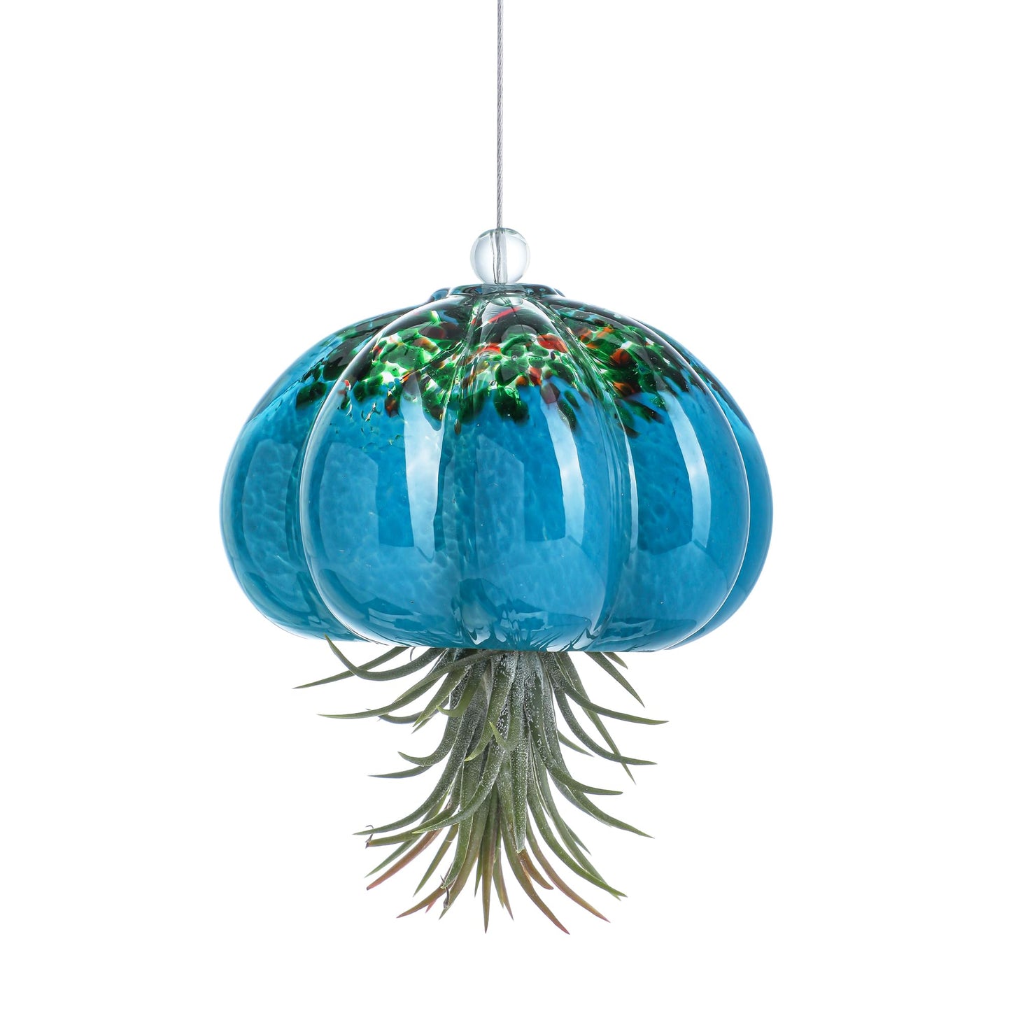 H&D HYALINE & DORA Handmade Blown Glass Hanging Jellyfish Air Planter for Live Succulent Air Plants (No Plants)
