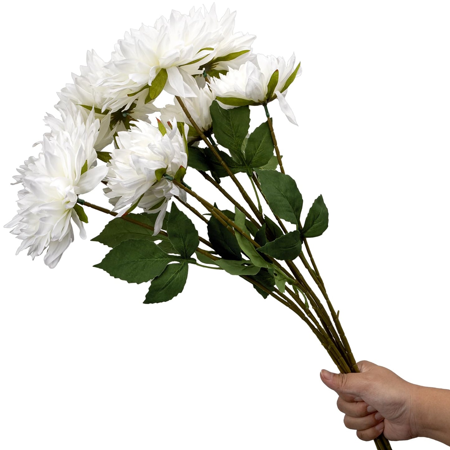 OBDXZHC 6 Pcs 31.5 inch Artificial Dahlia Long Stem White Silk Dahlia Flowers Faux Flower for Indoor Outdoor Kitchen Garden Party Home Wedding Floral Arrangement Decoration (White)