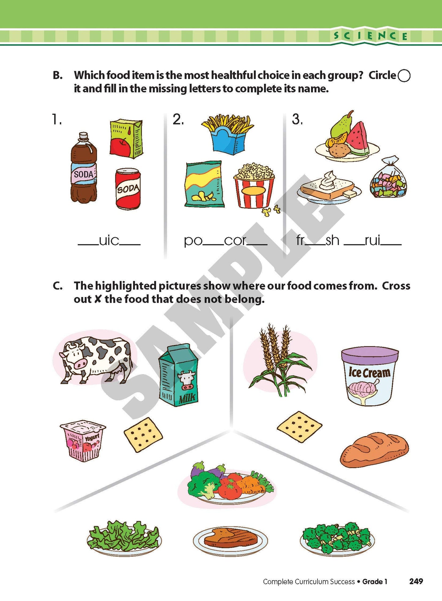 Complete Curriculum Success Grade 1