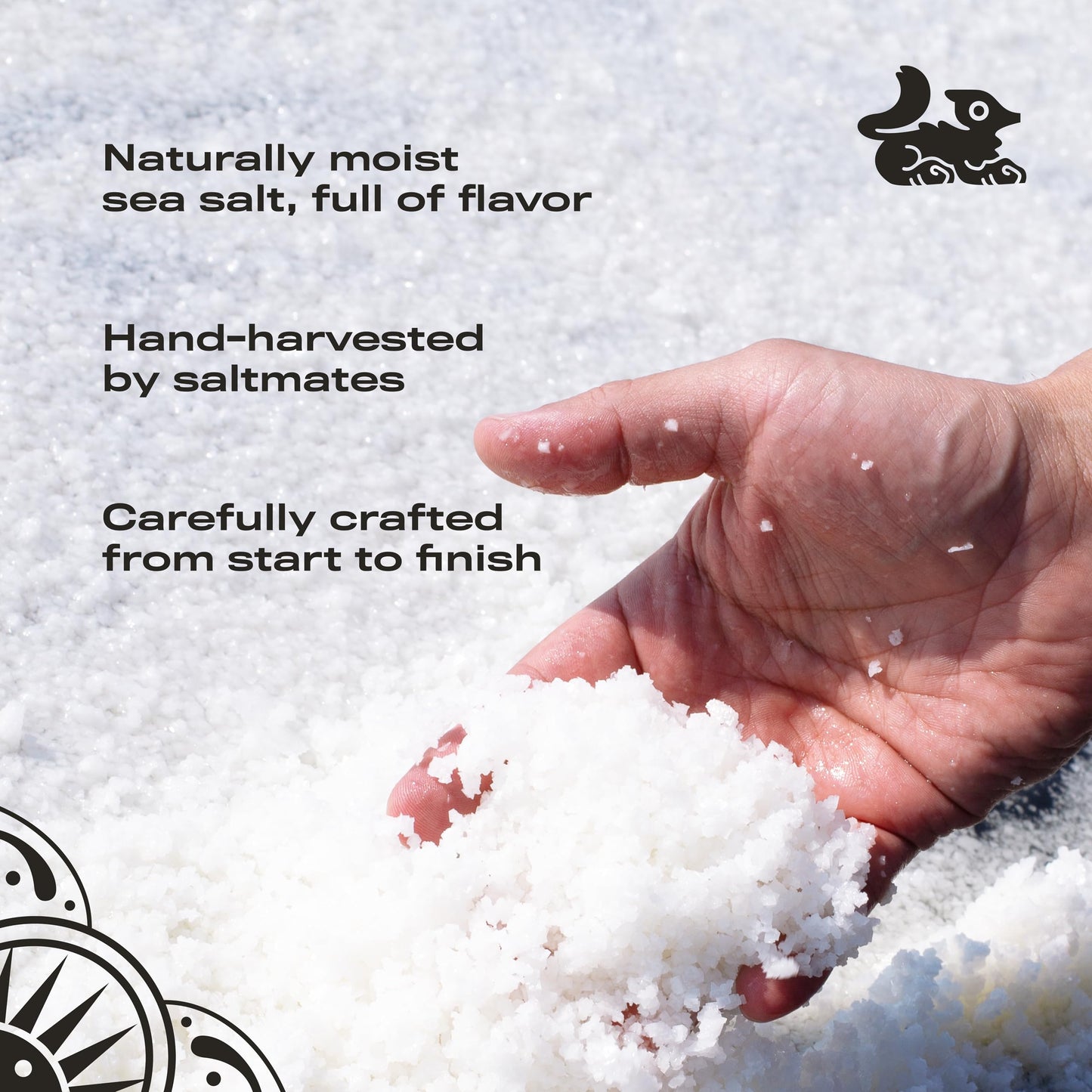 Sí Salt, Colima Sea Salt, Crystals, Kosher, Unrefined, Hand Harvested Bulk Size, Canning, FoodService (8.8 lbs, Coarse Sea Salt)