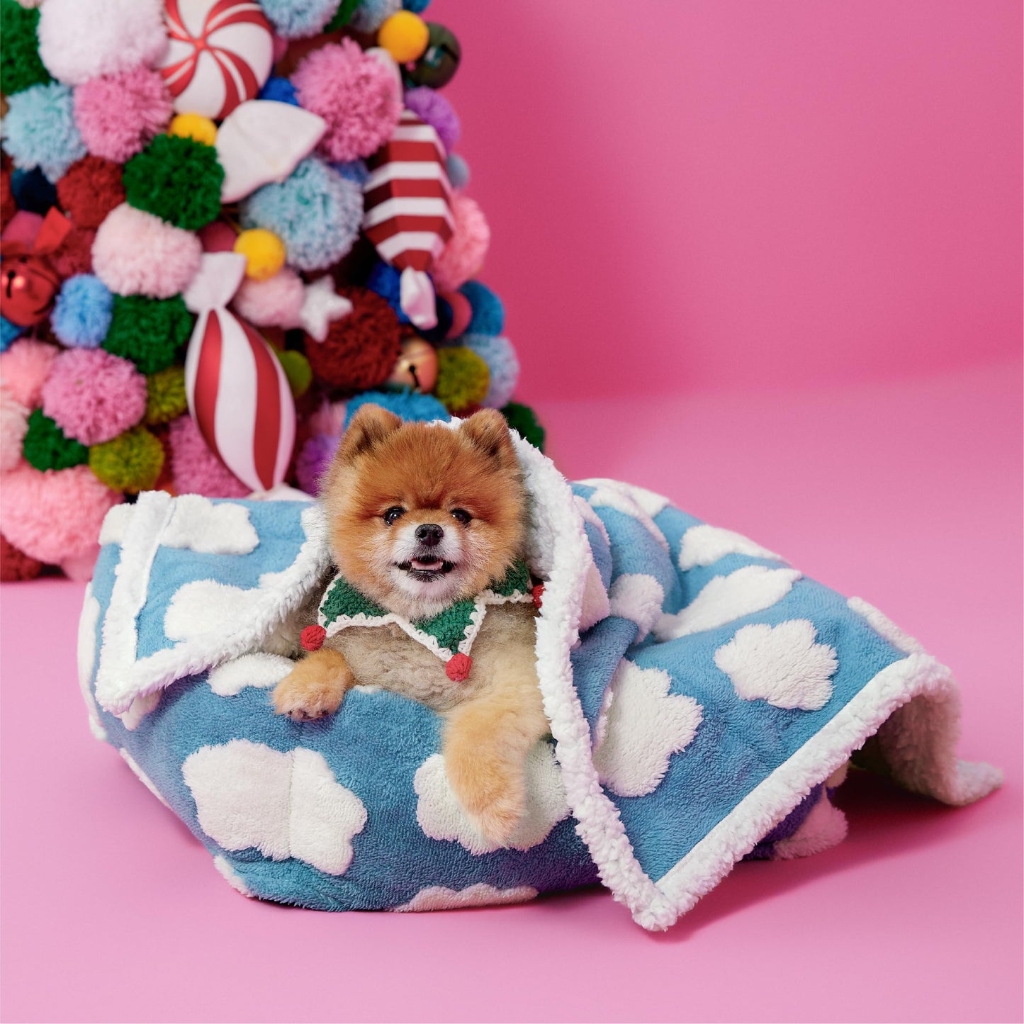 Lesure Waterproof Puppy Blanket for Small Dogs - Washable Double Sided Dog Blankets with Warm Jacquard Shag and Soft Sherpa Fleece, Pet Cat Blanket for Couch Protection, 3D Textured Cloud, Blue