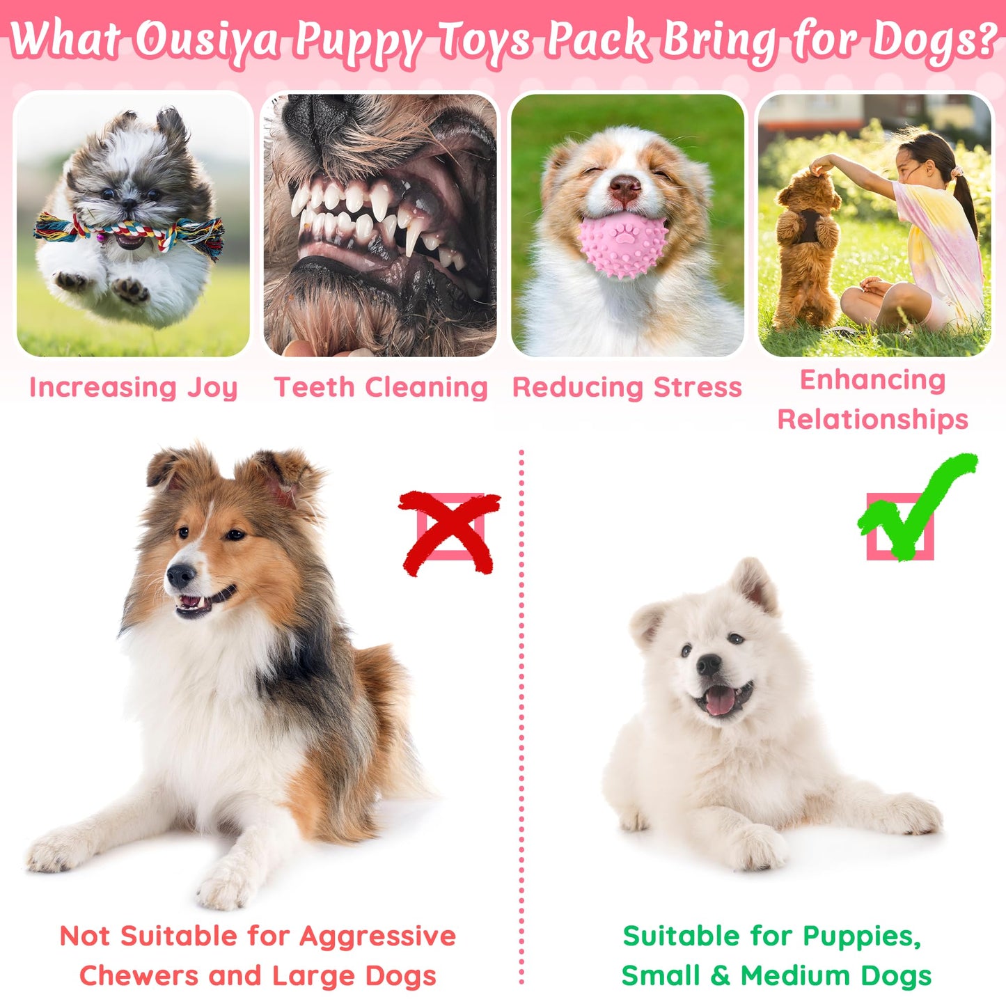 Ousiya 12 Pack Puppy Toys for Teething, Small & Medium Dogs – Chew Toys, Rope Toys & Interactive Dog Toys Set with Storage Box for Training, Play & Boredom Relief