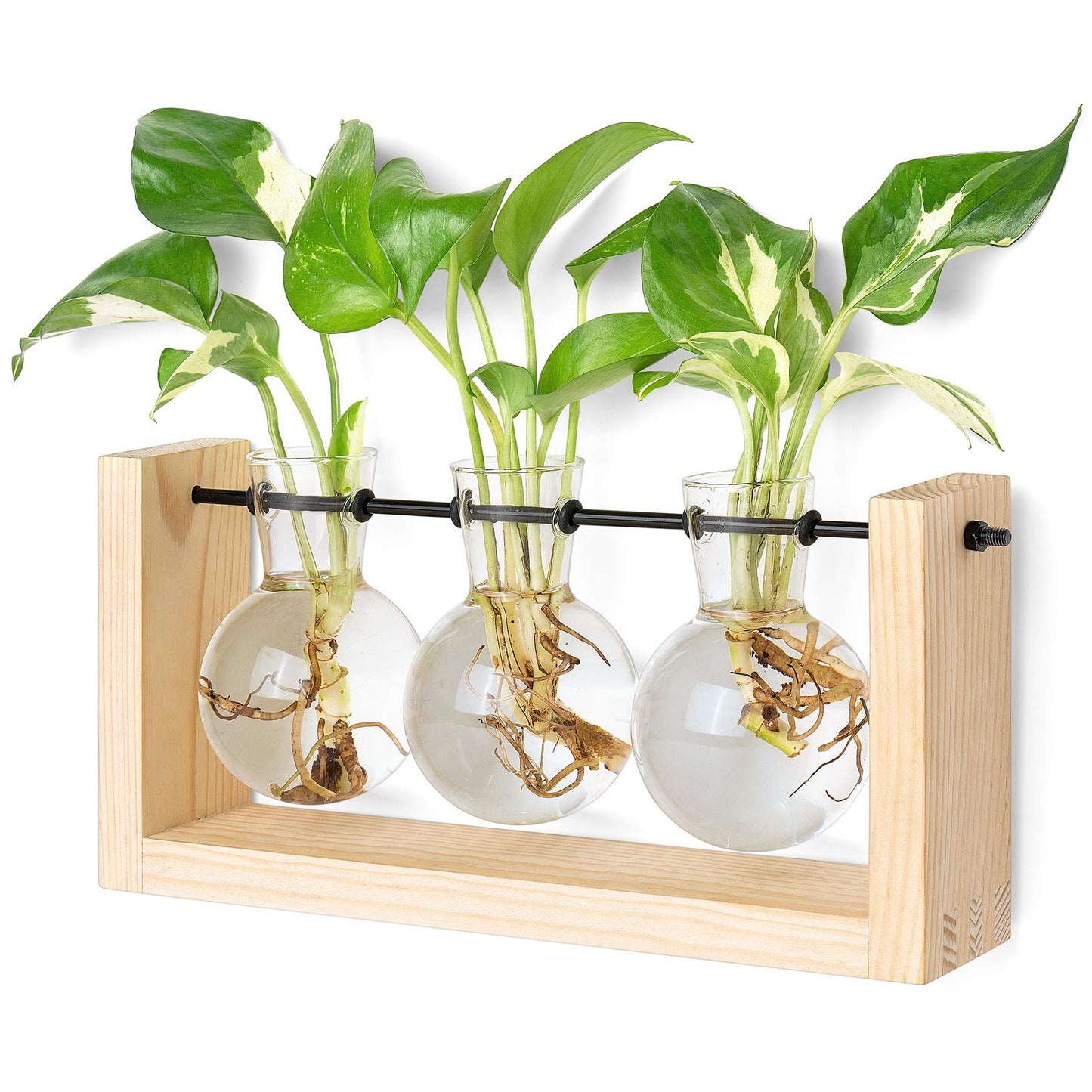 Mkono Plant Terrarium with Wooden Stand, Wall Hanging Glass Planter Desktop Plant Propagation Vase with Metal Swivel Retro Rack for Hydroponics Plants Home Office Decor (5 Bulb Vase)