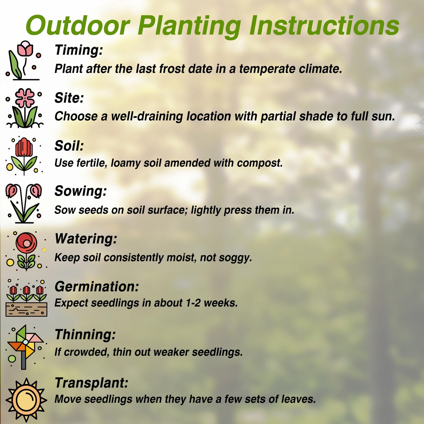 Rare Coleus Popular Ornamental Plant seeds Vibrant Foliage Easy to Maintain Adding Vibrant Accents to Gardens and Containers Used in Container Gardening,Hanging Baskets Outdoor 100Pcs by YEGAOL Garden