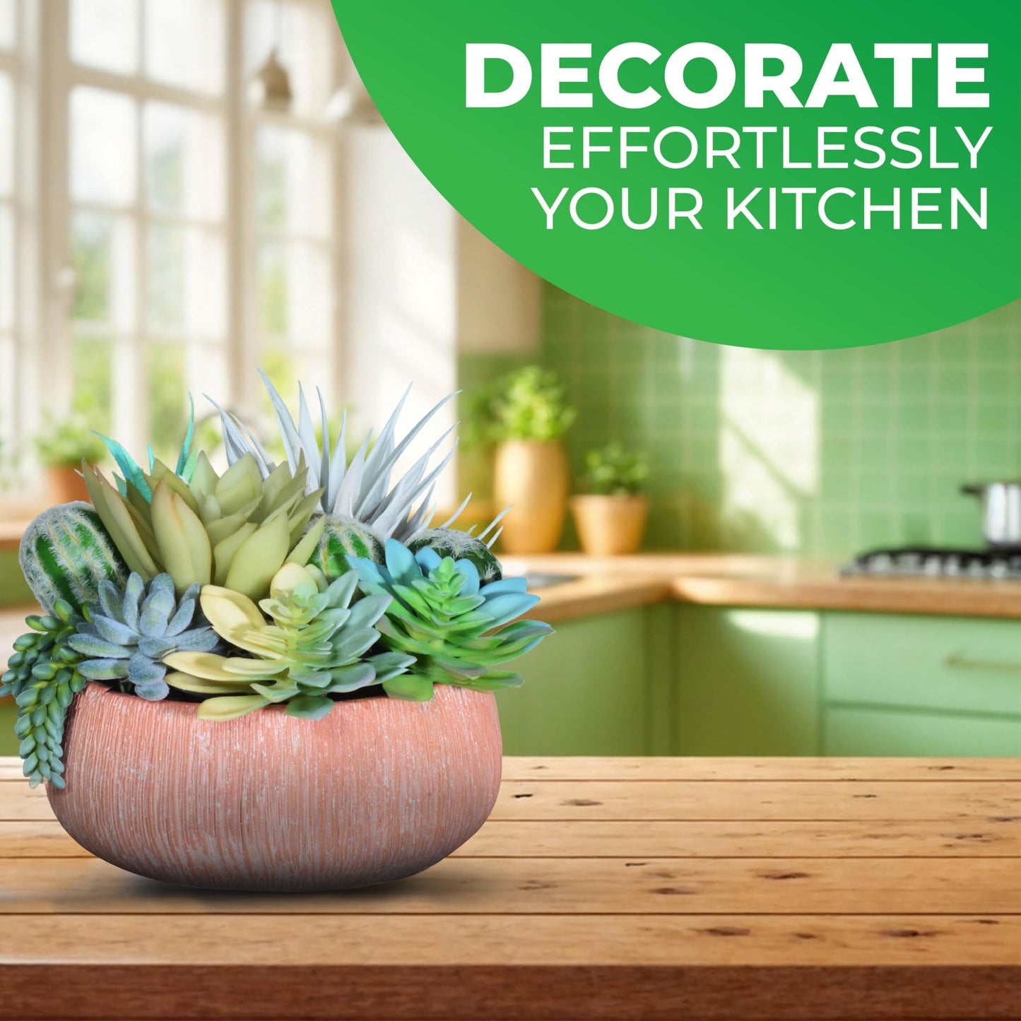 Hisow Premium Assorted Artificial Succulent Collection - Large Real Touch Artificial Cactus, Aloe Vera & Succulent Plants Artificial with Pots for Home Office Indoor (Artificial Coconut Shell - Pot)