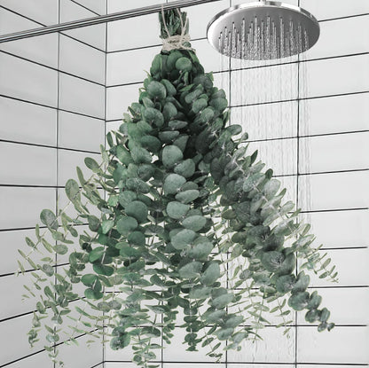 11 piezas de tallo de eucalipto seco real para decoración de ducha y baño, hojas de eucalipto frescas naturales grandes de 17 pulgadas, plantas colgantes, artículos de ducha, decoración de jarrón