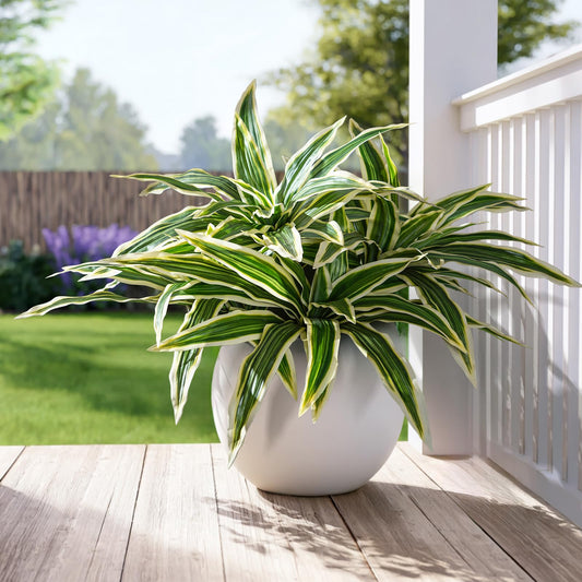 4 Pcs Artificial Greenery Stems Dracaena Faux Branches Artificial Plants Realistic Fake Dracaena Greenery Realistic Plants for Indoor Outdoor Porch Patio Home Office Living Room Decor (Yellow)