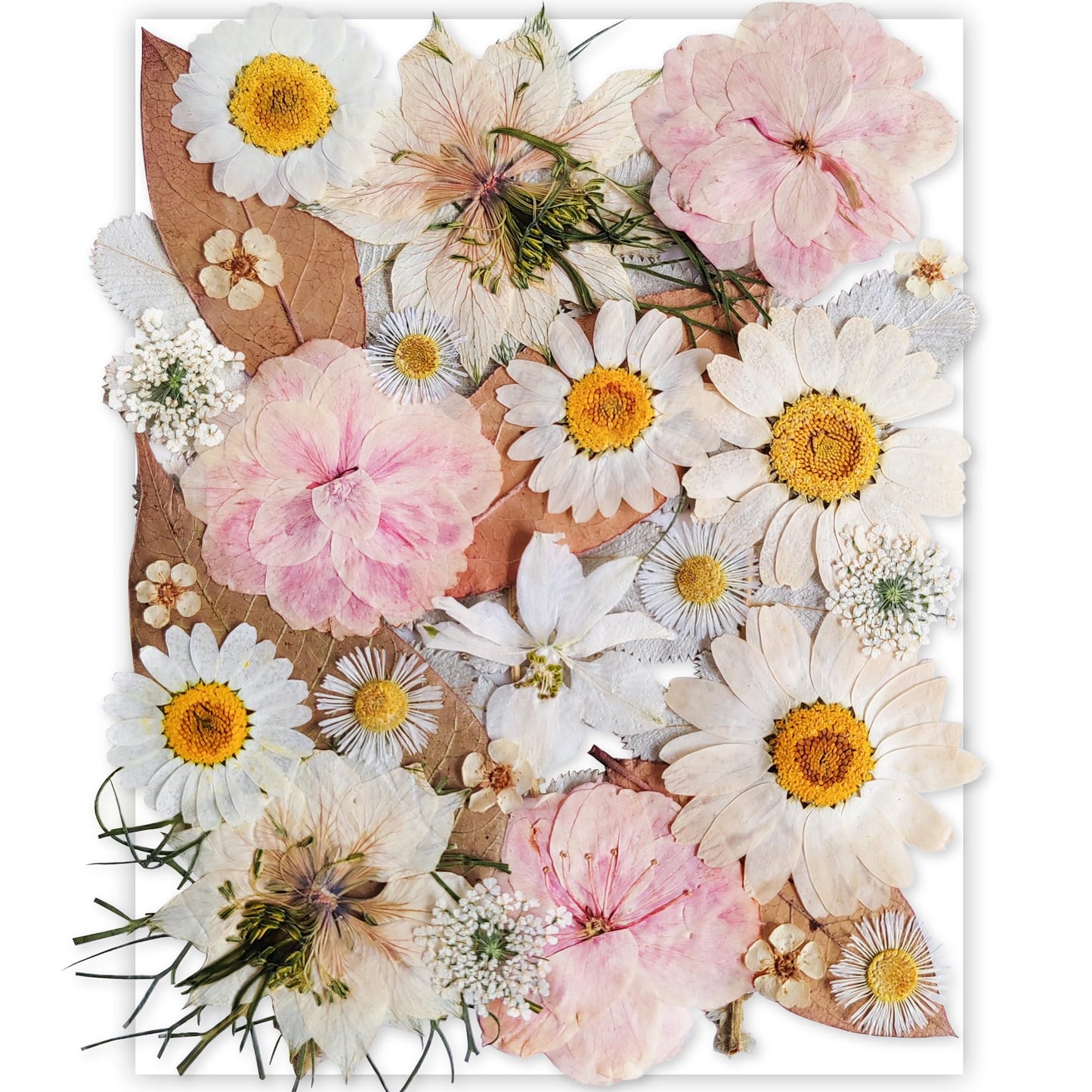 320PCS Dried Pressed Flowers Bulk for Resin, YouthBro Real Natural Pressing Flowers with Two Sheets Butterfly Stikers for Mold DIY Art Crafts,Home Décor,Cherish