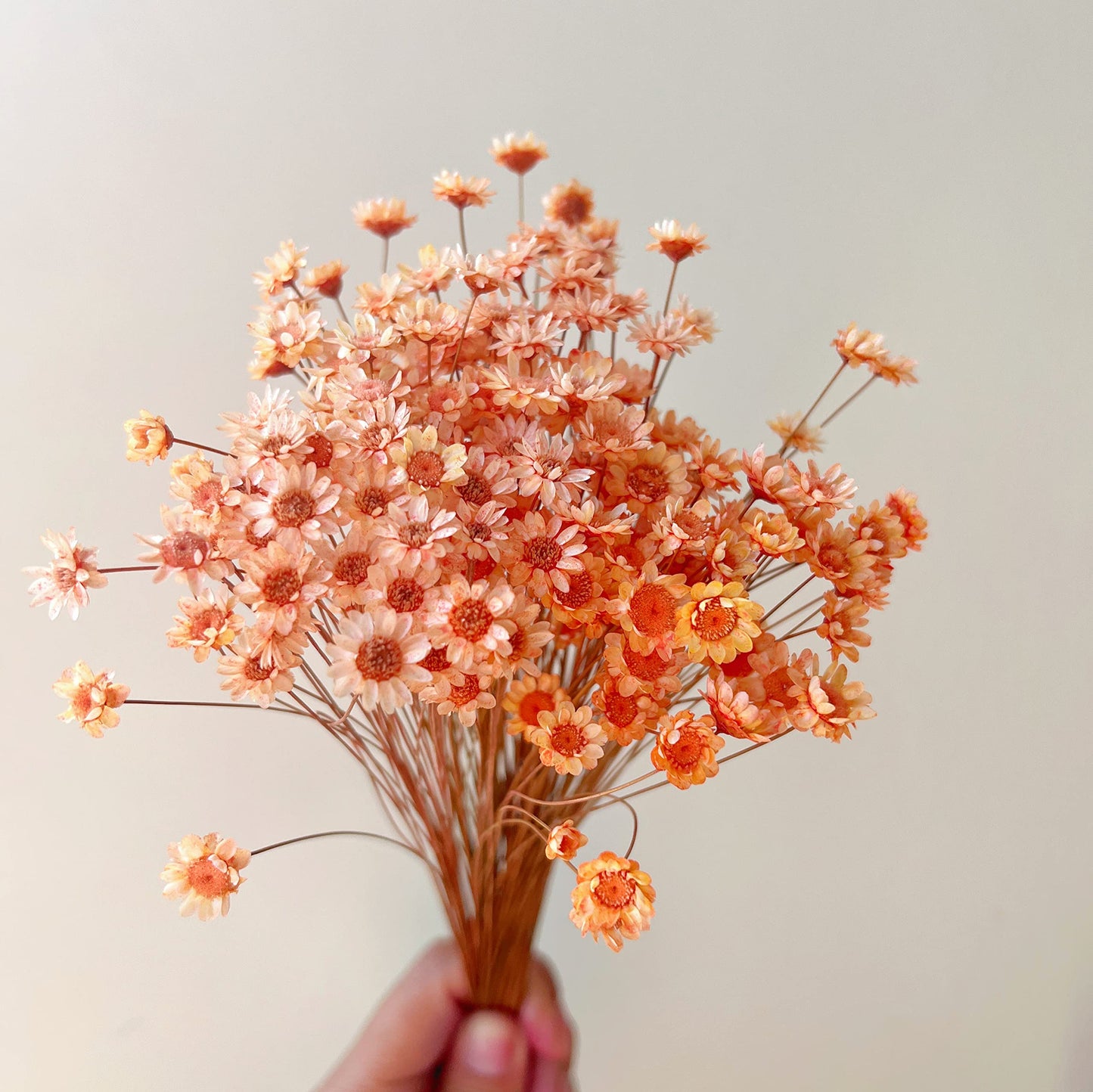 200 Stems Natural Dried Flowers Brazilian Small Star Daisy Dried Decorative Mini Chamomile Bouquet for Wedding Floral Arrangements Home Decorations Valentine's Day Gifts (Orange)
