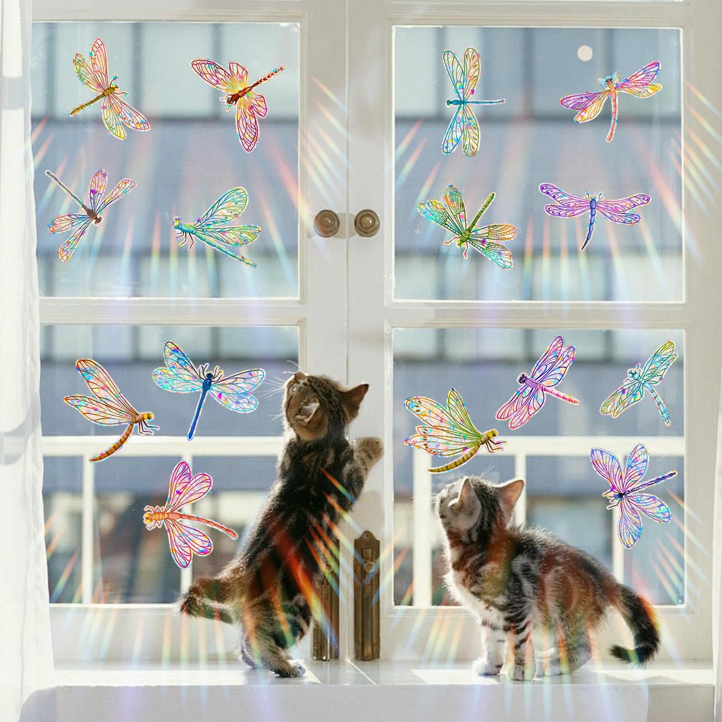 Suplanet Dragonfly Window Clings for Glass Windows, Bird Anti Collision Window Stickers for Birds, Window Decals to Prevent Bird Strikes, Non Adhesive Window Prism, Sun Catchers Indoor Window