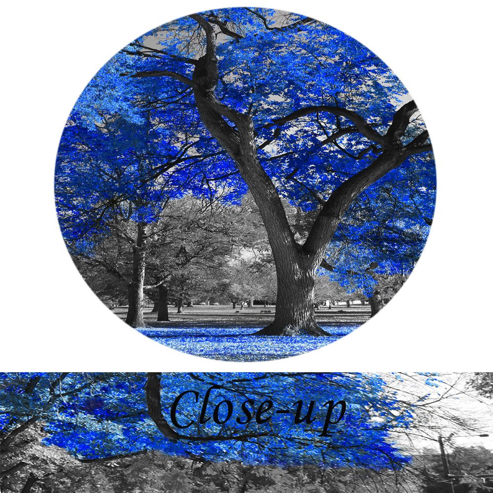 KREATIVE ARTS Canvas Print Wall Art Painting Contemporary Blue Tree In Black And White Style Fall Landscape Picture Modern Giclee Stretched And Framed Artwork (Large Size 60x32inch)