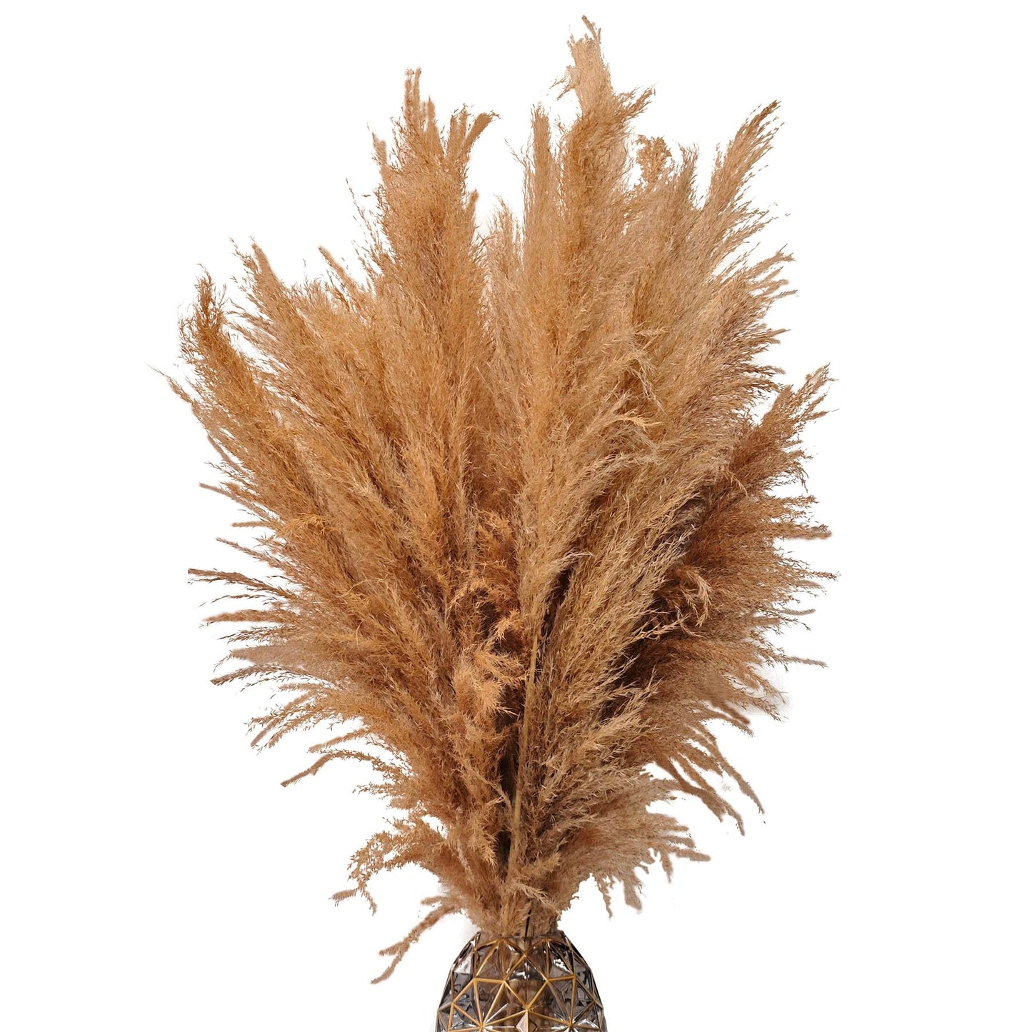 auleegay 20 PCS 40 inches Bohemian Style Handpicked Pampas Grass Dried Flowers, Big Pampas Grass, Fluffy Grass, Dried Flowers for Wedding, Party