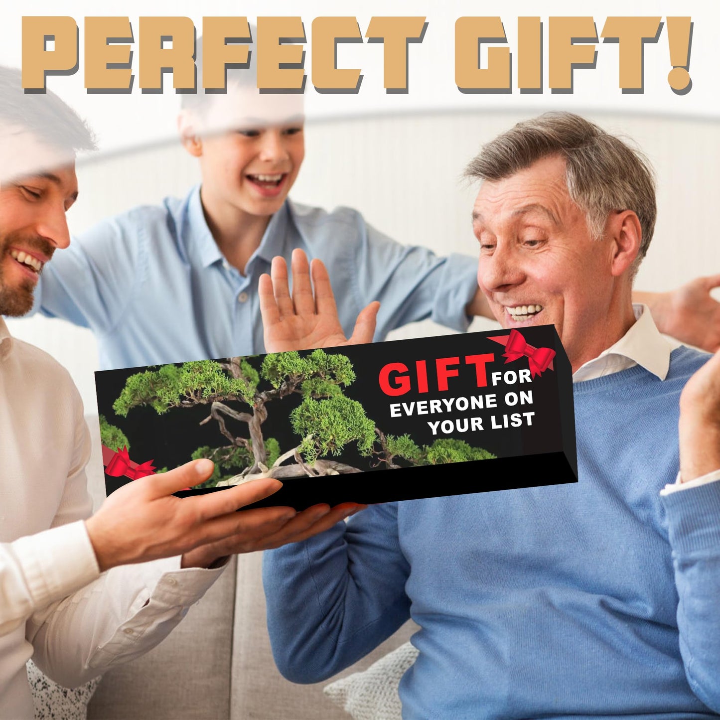 Sproutix Indoor Bonsai Garden Starter Kit, 5 Seeds Growing into Red Maple, Wisteria, Black Pine, Judas Tree, Acacia, Including Complete Gardening Planters & A Wooden Box, Christmas Gifts for Women