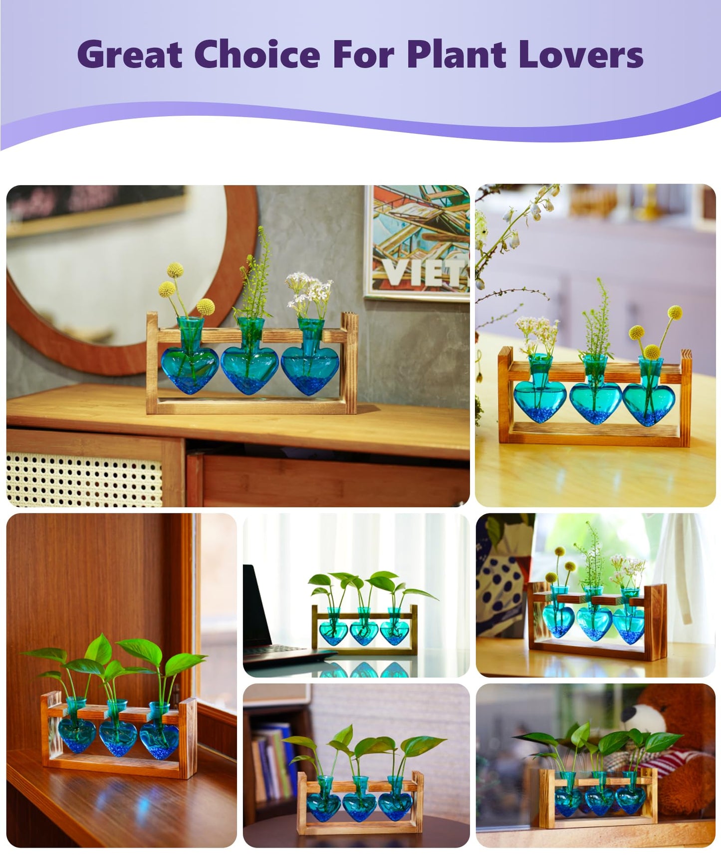 Nacome Plant Terrarium for Office Decor: Birthday Gifts for Plant Lovers Women Mom Wife - Wooden Stand Tabletop Planter 3 Bulb Glass Vase Heart Shaped for Hydroponics Indoor Home