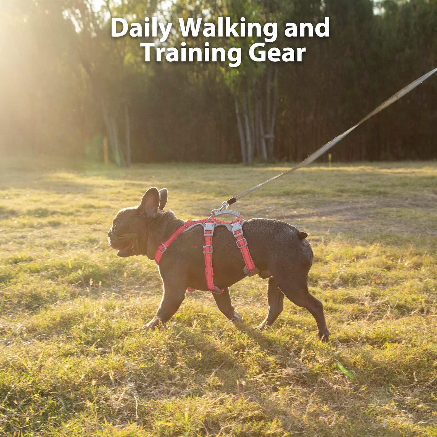 Huntboo Escape Proof Dog Harness, Secure Dog Harness No Escape, Fully Reflective Harness with Handle, Breathable, Durable, Adjustable Vest for Medium Dogs Walking,and Running Gear (Red,M)