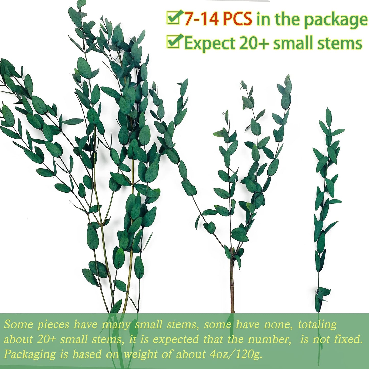 20+ Small Dried Eucalyptus Stems, 7-14 Pcs Preserved Greenery Plants Branches, 17'' Natural Real Eucalyptus Bundles for Shower, Green Leaves Plant for Arrangement, Wedding, Office, Home Decor(4oz)