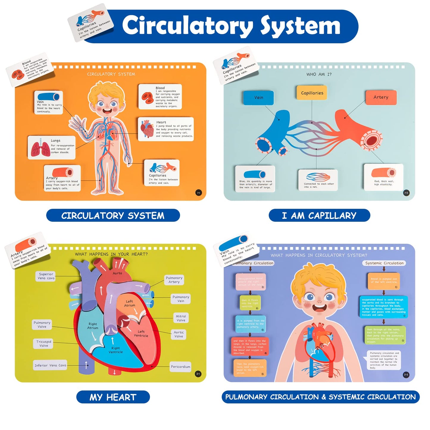 Freebear Montessori Busy Book for Kids, Human Body Anatomy Book for Toddlers, Preshool Kindergarten Learning Activities, Autism Sensory Toys, Gifts for Girls and Boys 4 5 6 7 Years - Human Body System