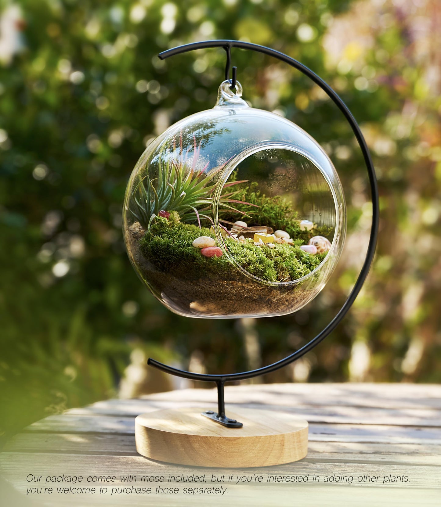 15-Piece Terrarium Kit with Live Moss – DIY Glass Globe Set with Tools, Soil, Stones & Spray Bottle – Indoor Mini Garden Gift for Plant Lovers, Home Decor & Zen Craft