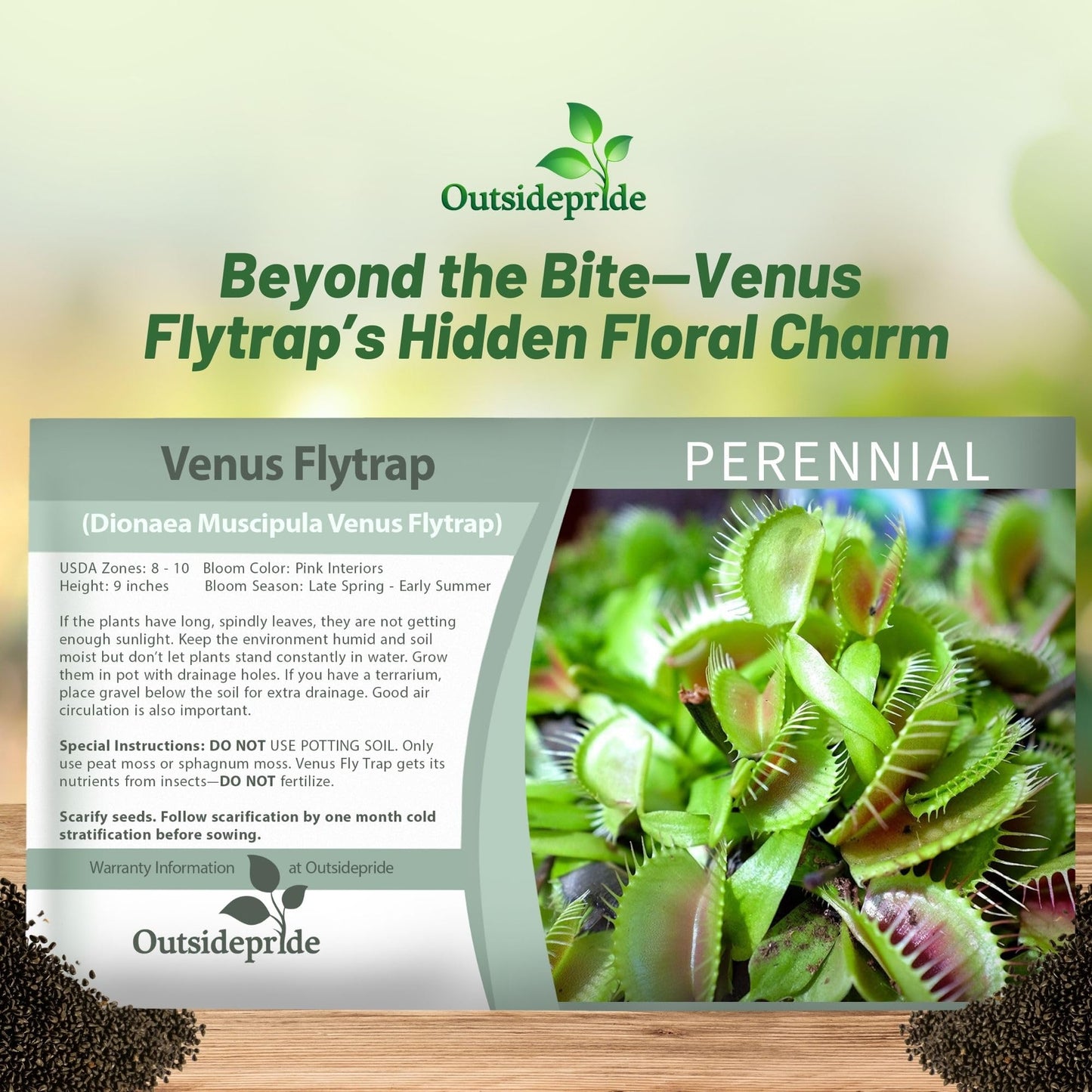 Outsidepride Venus Flytrap Seeds - 10 Pcs Perennial, Unique & Carnivorous, Indoor Plant Seeds for House Plants, Easy to Grow & Low Maintenance, Ideal for Terrariums, Pots, & Non-Winter Hardy Zones