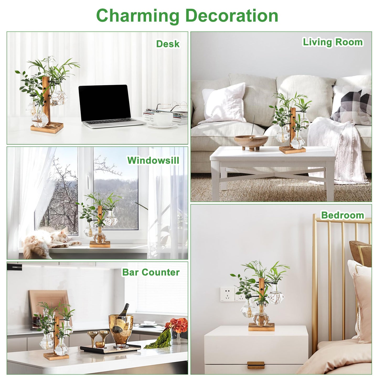 PAG-Mass Planter Terrariums Kit, Desktop Hydroponics Air Planter Holder, Plant Propagation Station with 4 Glass Vase and Solid Wood Stand, Gardening Gift for Women and Plant Lovers