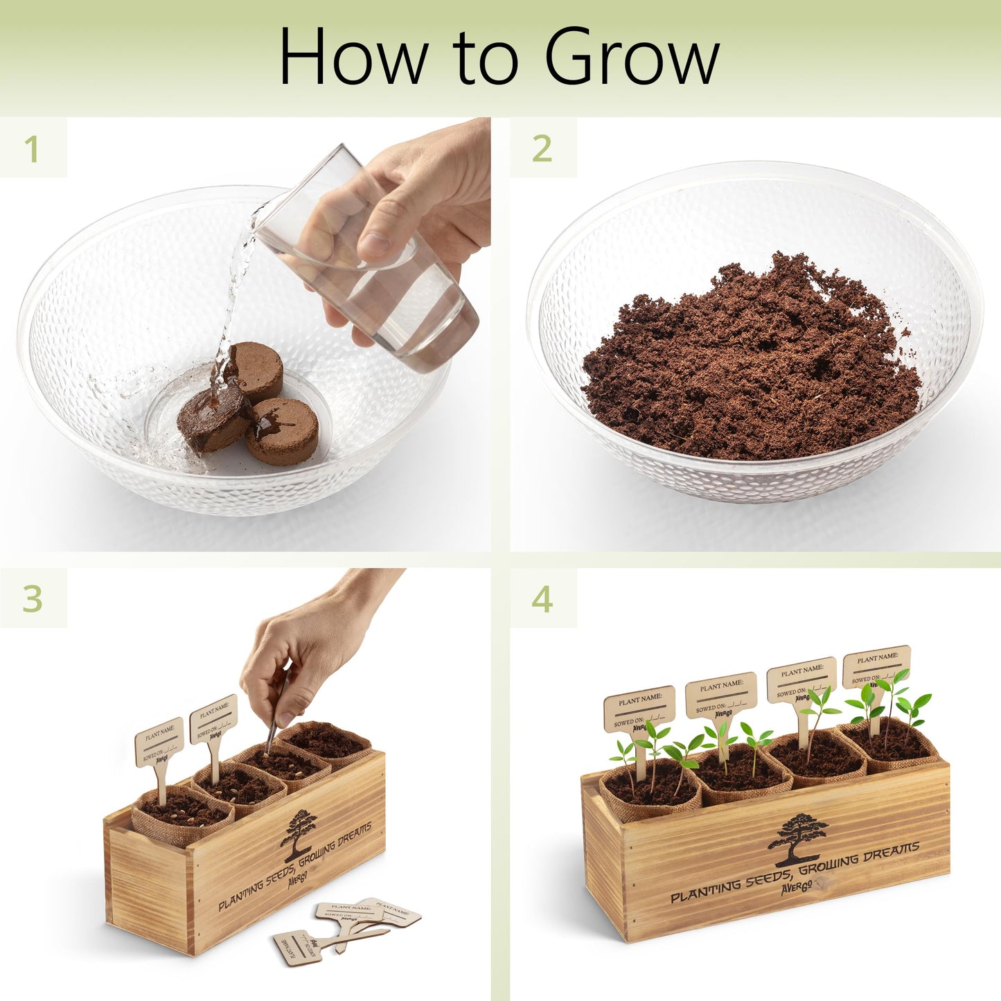 Avergo Bonsai Tree Kit – 4X Unique Japanese Bonzai Trees | Complete Indoor Starter Kit for Growing Bonsai Plants with Tools & Planters – Gardening Gifts for Women & Men