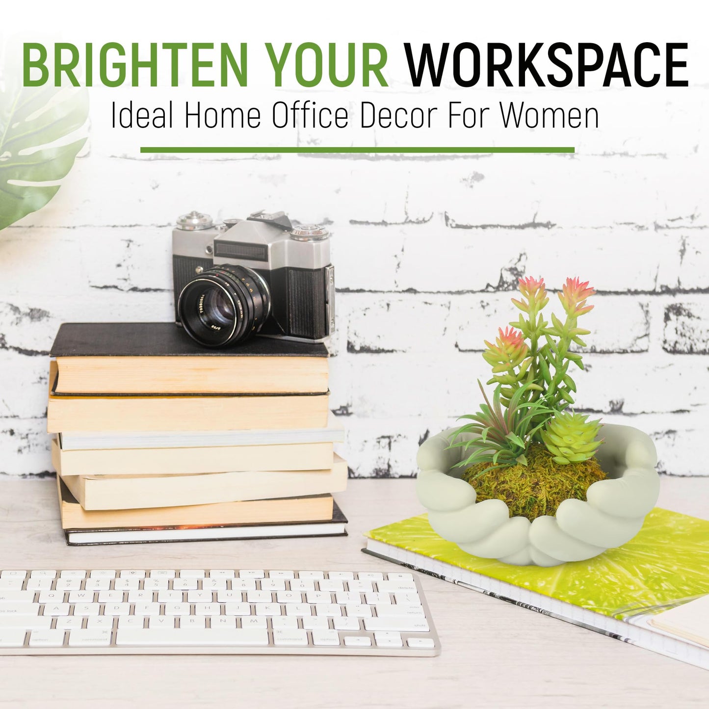 Hisow Small Artificial Plants, Mini Succulent Plants with Cute Plant Pot, Artificial Succulents in Pots for Office Desk Decor and Bedroom Kitchen Bathroom Plants Decor (C)