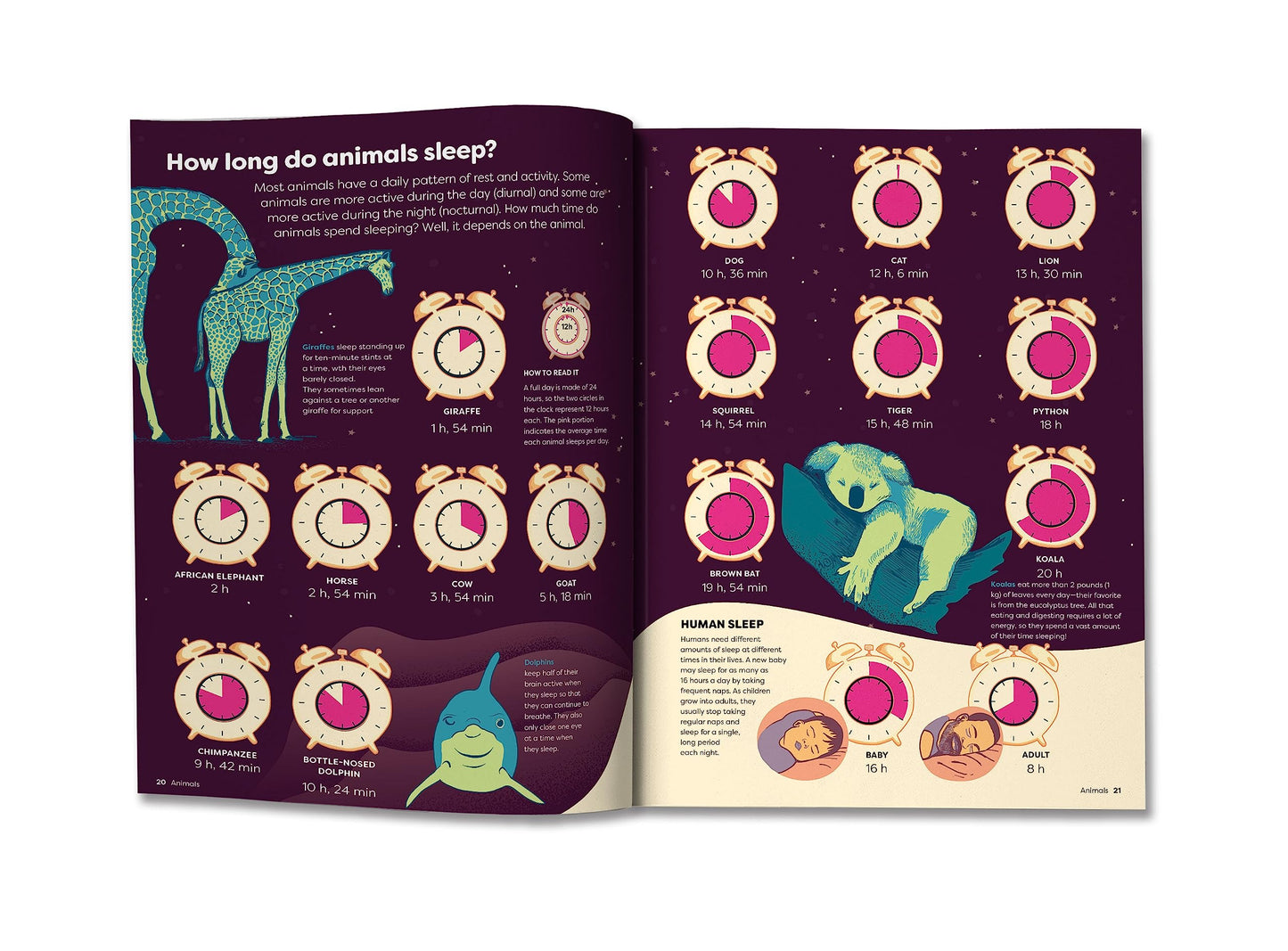 Britannica's Encyclopedia Infographica: 1,000s of Facts & Figures―about Earth, space, animals, the body, technology & more―Revealed in Pictures
