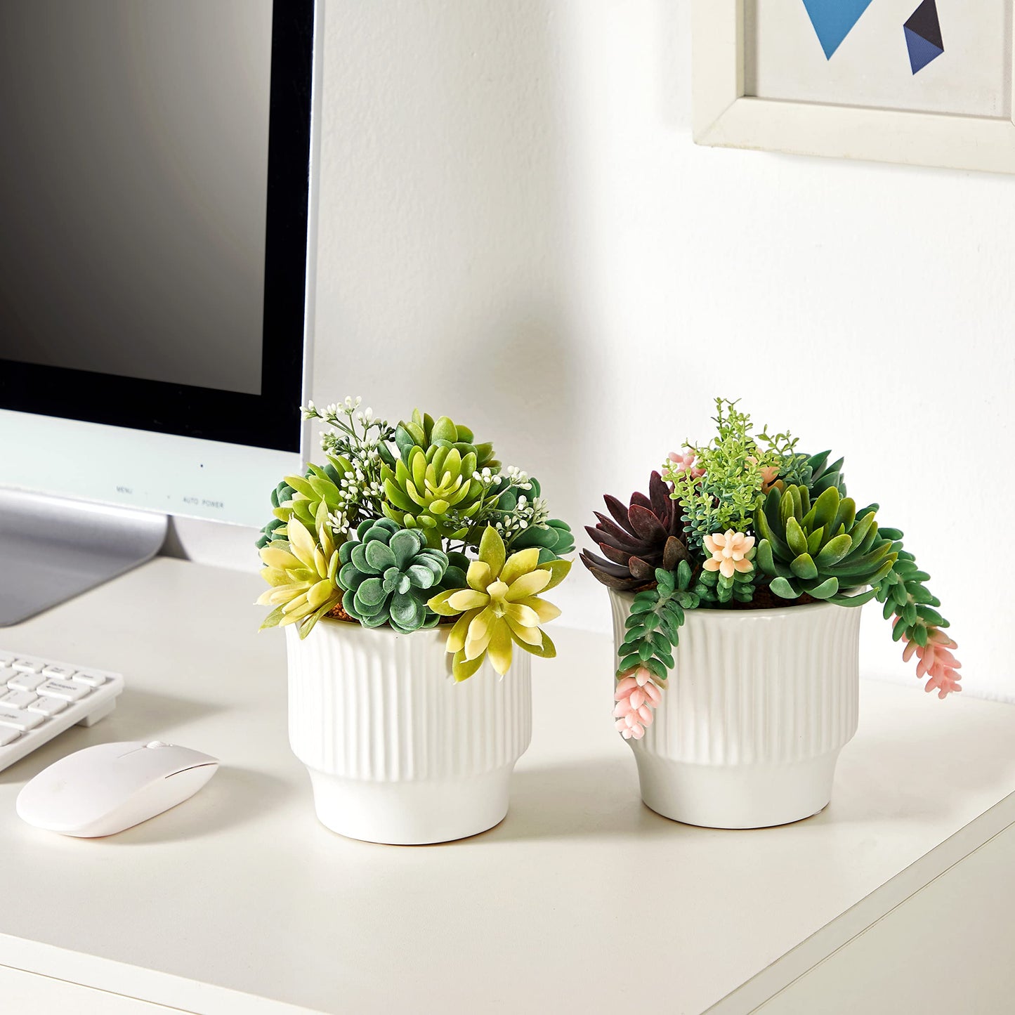 ASTRIDIA Artificial Succulent Plants, Faux Assorted Succulents Fake Plants in White Ceramic Pots for Home Decor, Bedroom, Office, Desk, Living Room, Set of 2