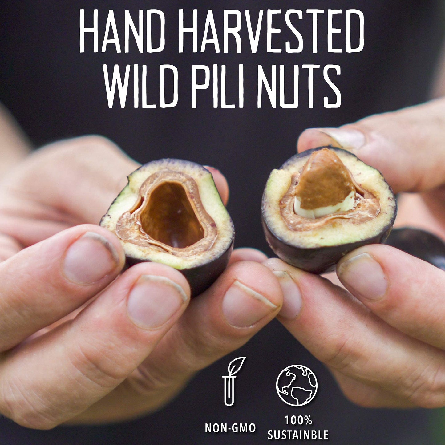 Pili Hunters - Wild Sprouted Pili Nuts (Pack of 5, 1.85 oz Bags) Variety Flavors (Pink Himalayan Salt, Raw Cacao, Rosemary, Avocado Oil, Coconut Oil) Vegan, Keto, Paleo Snack for Low Carb Energy