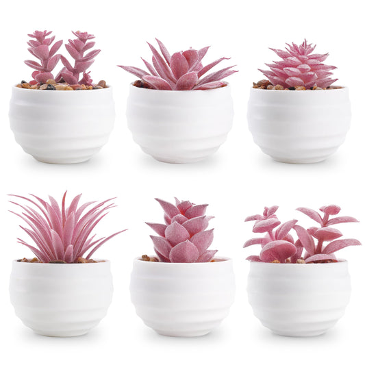 Der Rose Set of 6 Succulents Plants Artificial in Pots Small Fake Plants for Bedroom Aesthetic Living Room Office Shelf Bathroom Decor