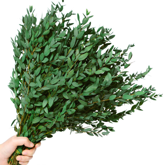 20+ Small Dried Eucalyptus Stems, 7-14 Pcs Preserved Greenery Plants Branches, 17'' Natural Real Eucalyptus Bundles for Shower, Green Leaves Plant for Arrangement, Wedding, Office, Home Decor(4oz)