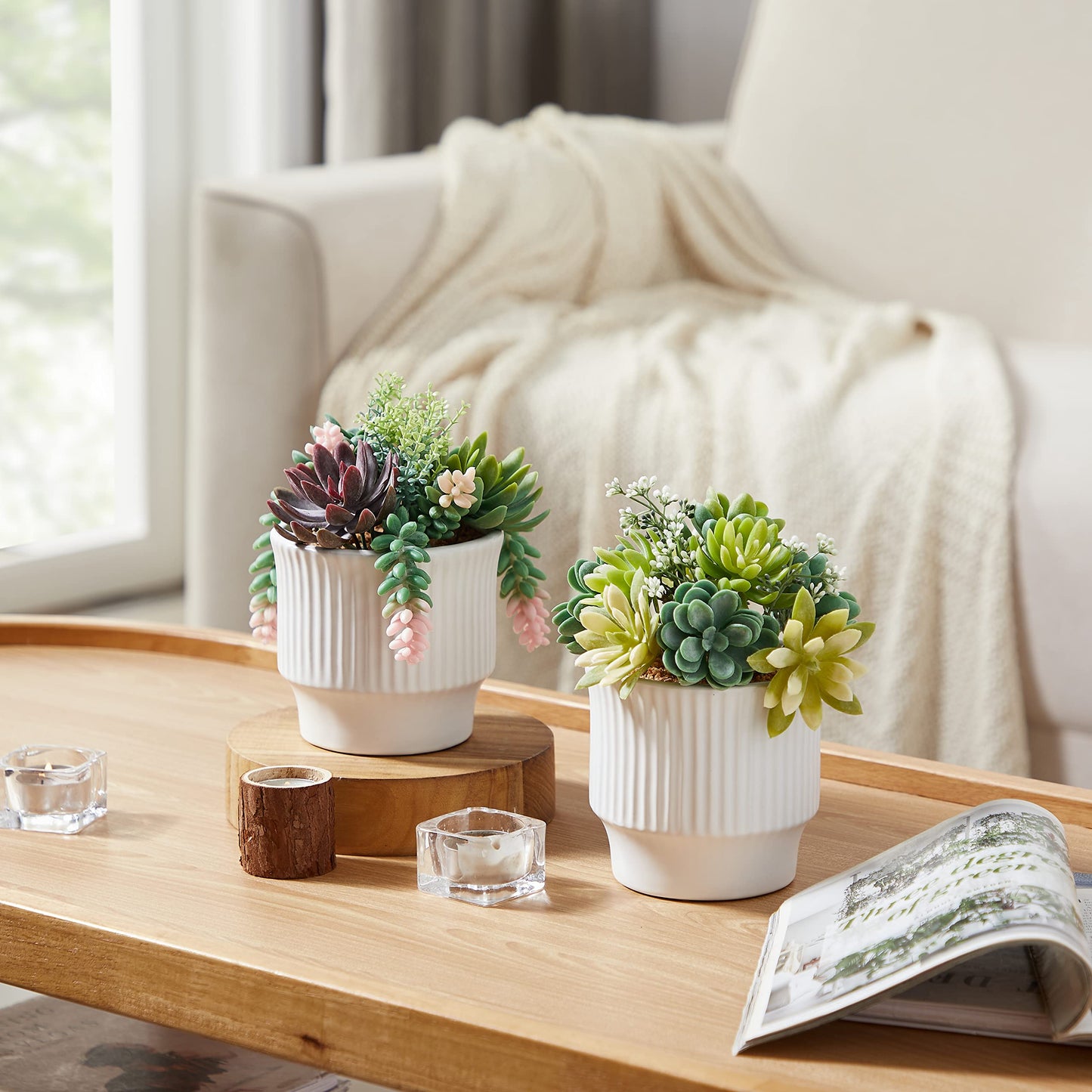 ASTRIDIA Artificial Succulent Plants, Faux Assorted Succulents Fake Plants in White Ceramic Pots for Home Decor, Bedroom, Office, Desk, Living Room, Set of 2