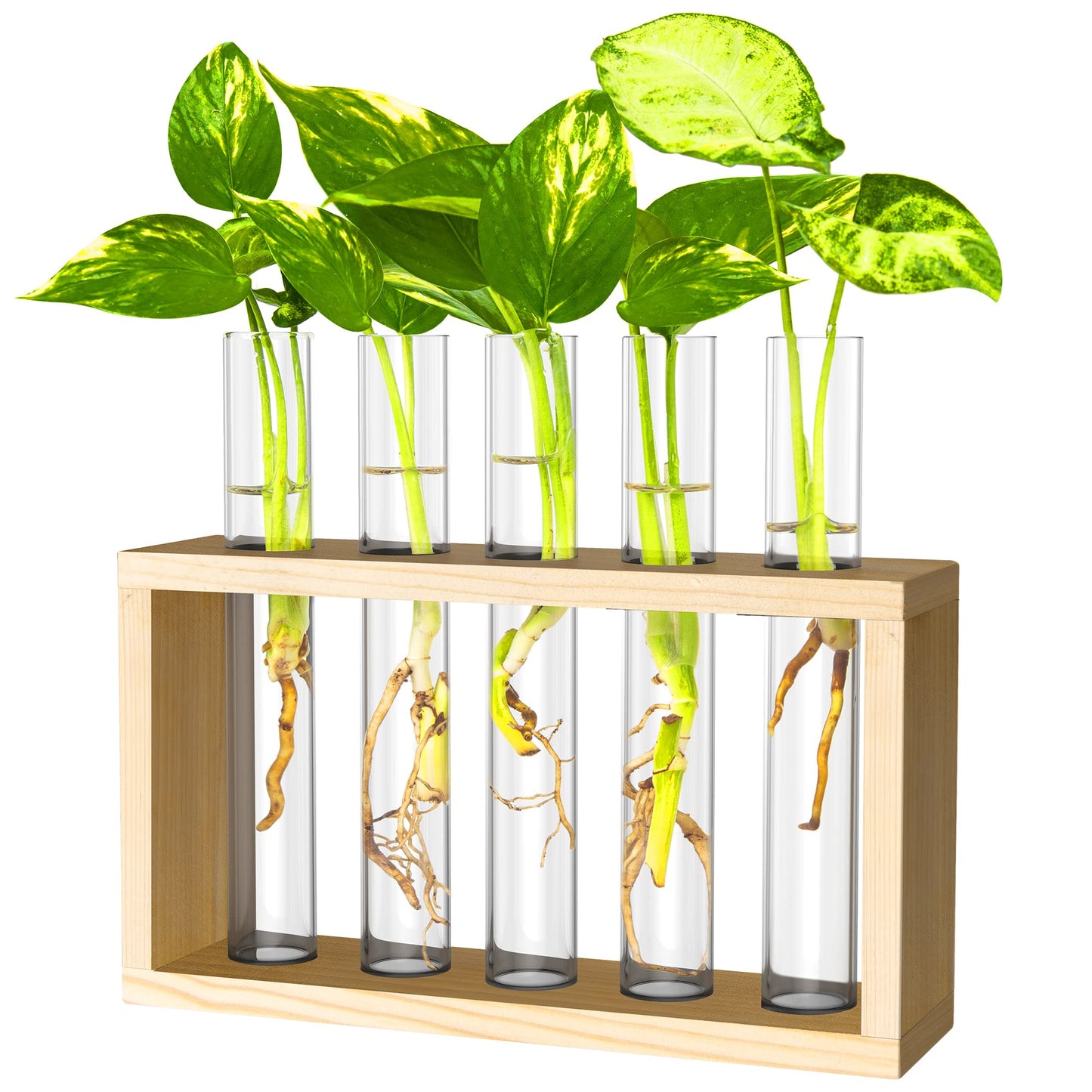 Ivolador Plant Propagation Station Terrariumin Wall Test Tube Vases Bud Tabletop Glass Wooden Stand with 5 Propagation Tubes for Propagating Hydroponic Plants Home Garden Wedding Decoration-Beige