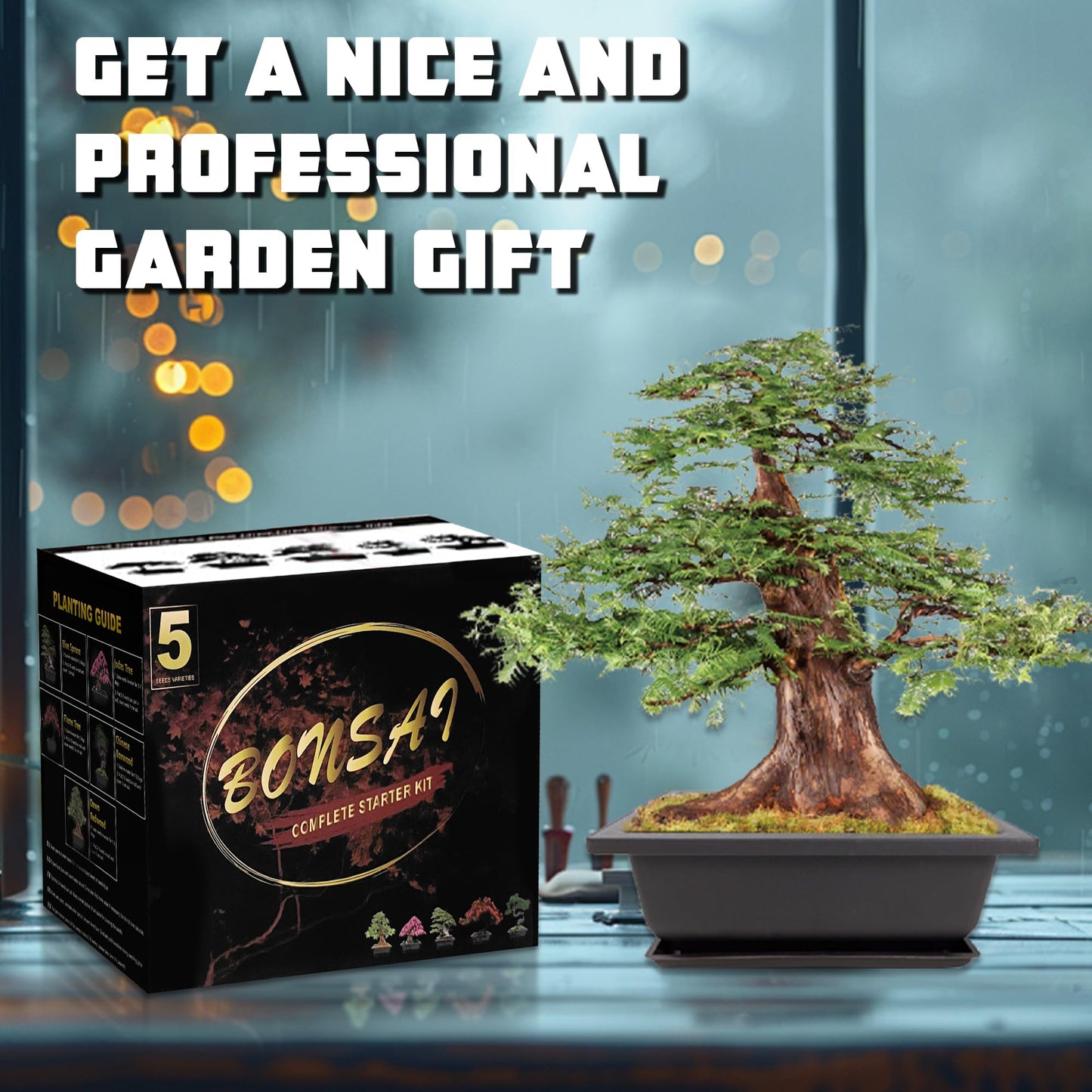 Sproutix Bonsai Starter Kit, 5 Seeds Growing into Blue Spruce, Chinese Boxwood, Dawn Redwood, Flame Tree and Judas Tree, Including Complete Gardening Tools with A Gift Box, Christmas Gifts for Women