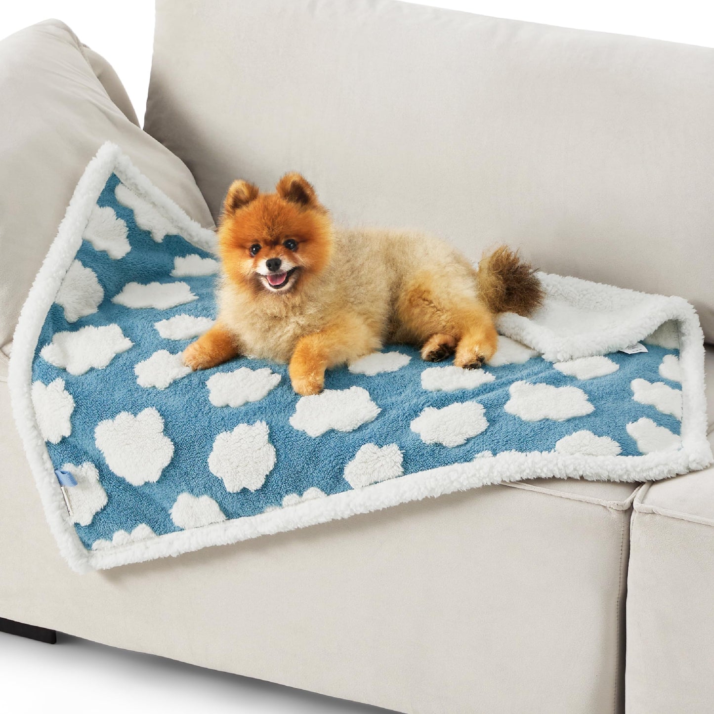 Lesure Waterproof Puppy Blanket for Small Dogs - Washable Double Sided Dog Blankets with Warm Jacquard Shag and Soft Sherpa Fleece, Pet Cat Blanket for Couch Protection, 3D Textured Cloud, Blue