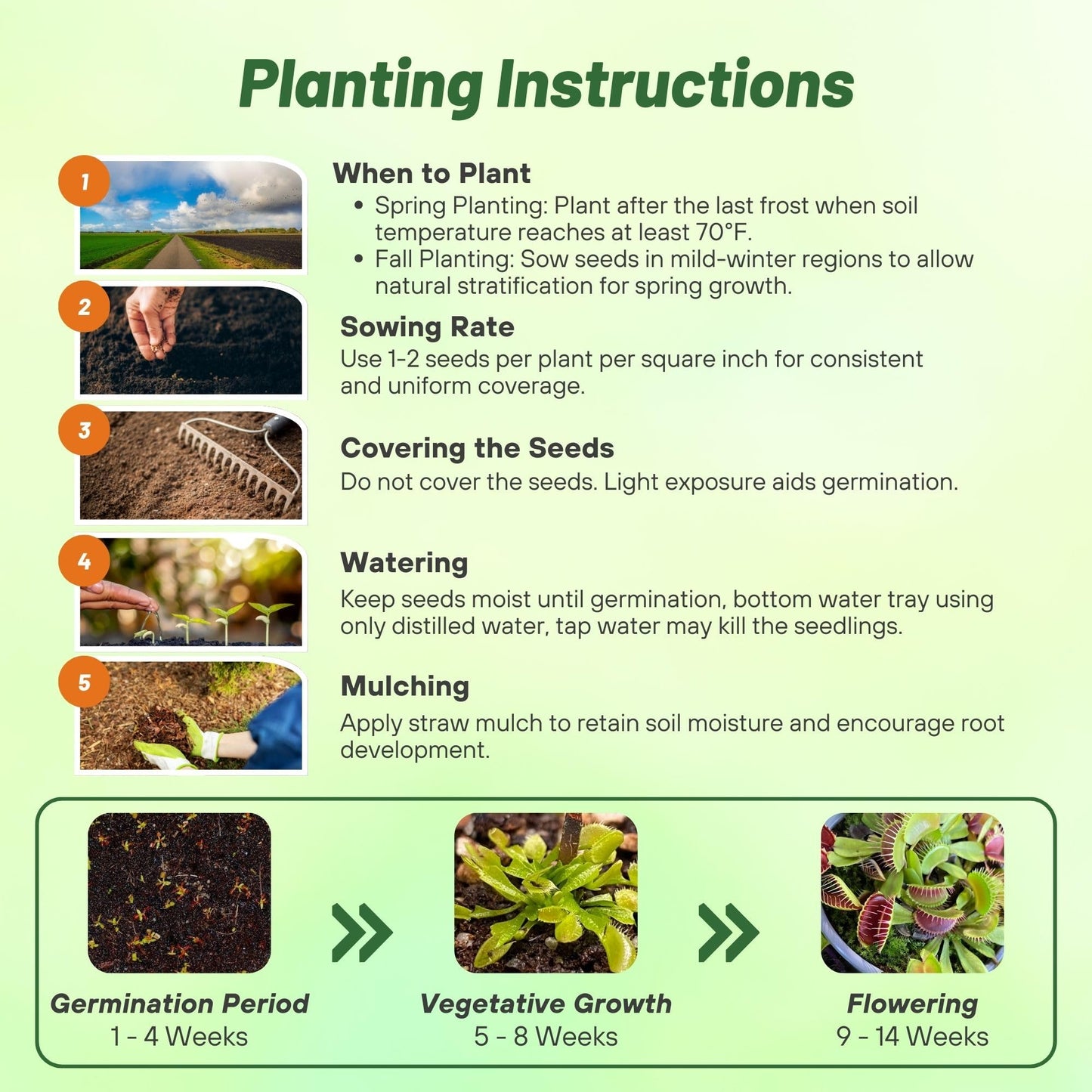 Outsidepride Venus Flytrap Seeds - 10 Pcs Perennial, Unique & Carnivorous, Indoor Plant Seeds for House Plants, Easy to Grow & Low Maintenance, Ideal for Terrariums, Pots, & Non-Winter Hardy Zones