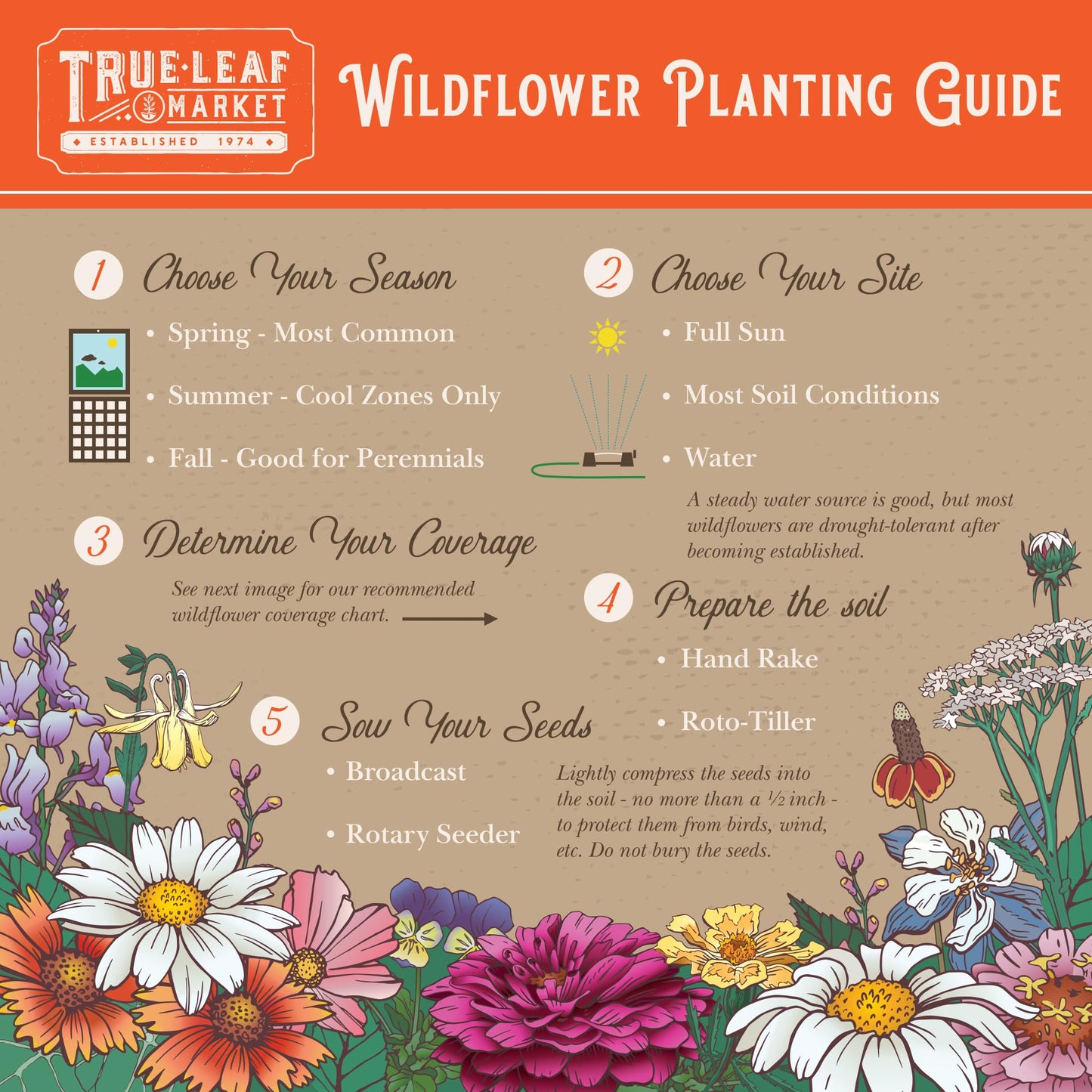 Wildflower Seed Bulk - Midwestern Wildflower Mix - 1 lb. 640,000+ Prairie Wildflowers - Annual & Perennial Flower Seeds - Wildflowers - Flower Seeds Bulk - Pollinator Flowers Seed
