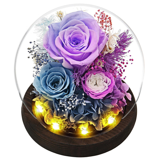 GiftGuru Mothers Day Flowers Delivery Prime, Roses in Glass Dome with LED Light - Gifts for Mom Grandma Her Girlfriend Wife