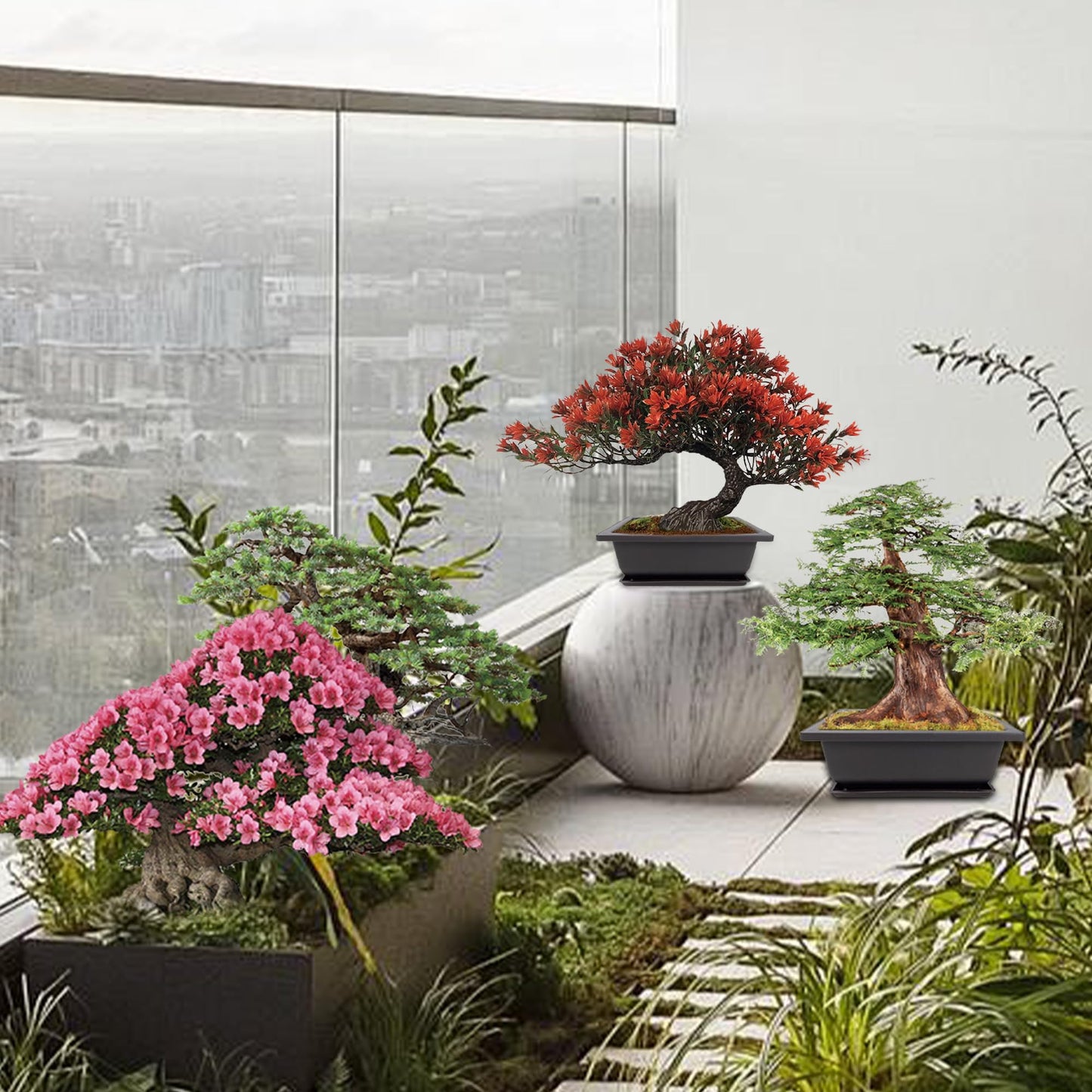 Sproutix Bonsai Starter Kit, 5 Seeds Growing into Blue Spruce, Chinese Boxwood, Dawn Redwood, Flame Tree and Judas Tree, Including Complete Gardening Tools with A Gift Box, Christmas Gifts for Women