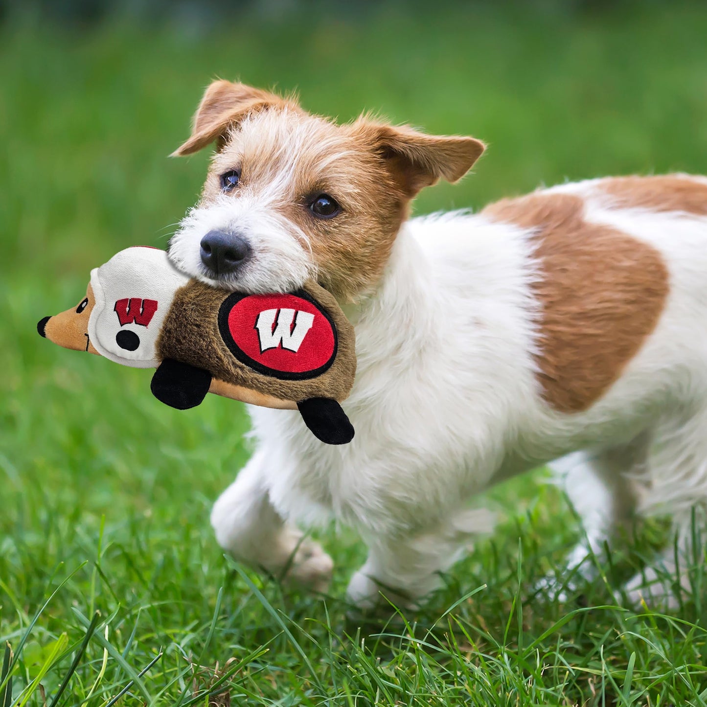 NCAA Wisconsin Badgers Plush Hedgehog Toy for Dogs & Cats, Cool Soft Pet Toy for Fun and Interactive Play, Dog Chew Toy with Squeaker, Licensed Hot Pet Toy