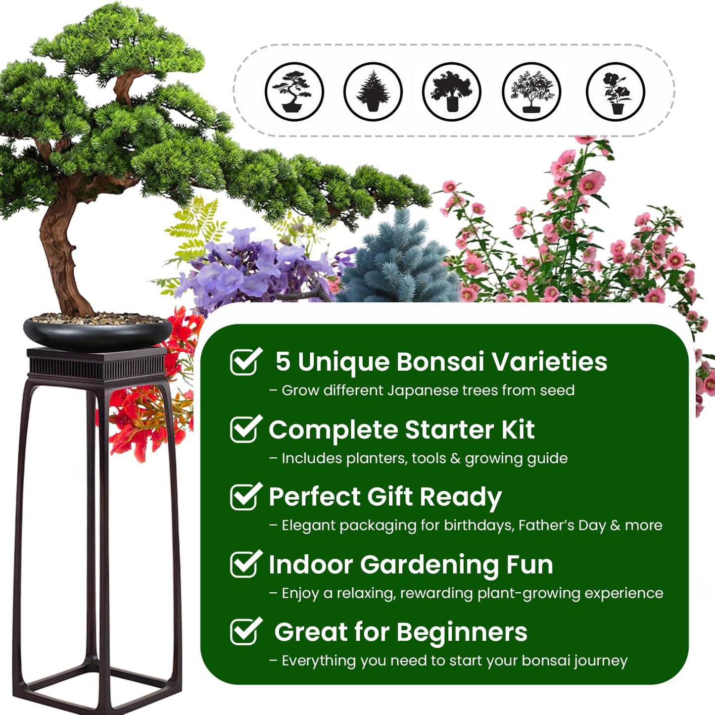 Bonsai Tree Kit – 5Pack Complete Indoor Starter Kit with 5 Unique Japanese Bonsai Trees, Tools & Planters – Perfect Gardening Gift for Women, Men, Plant Lovers – Great for Easter, Father’s Day