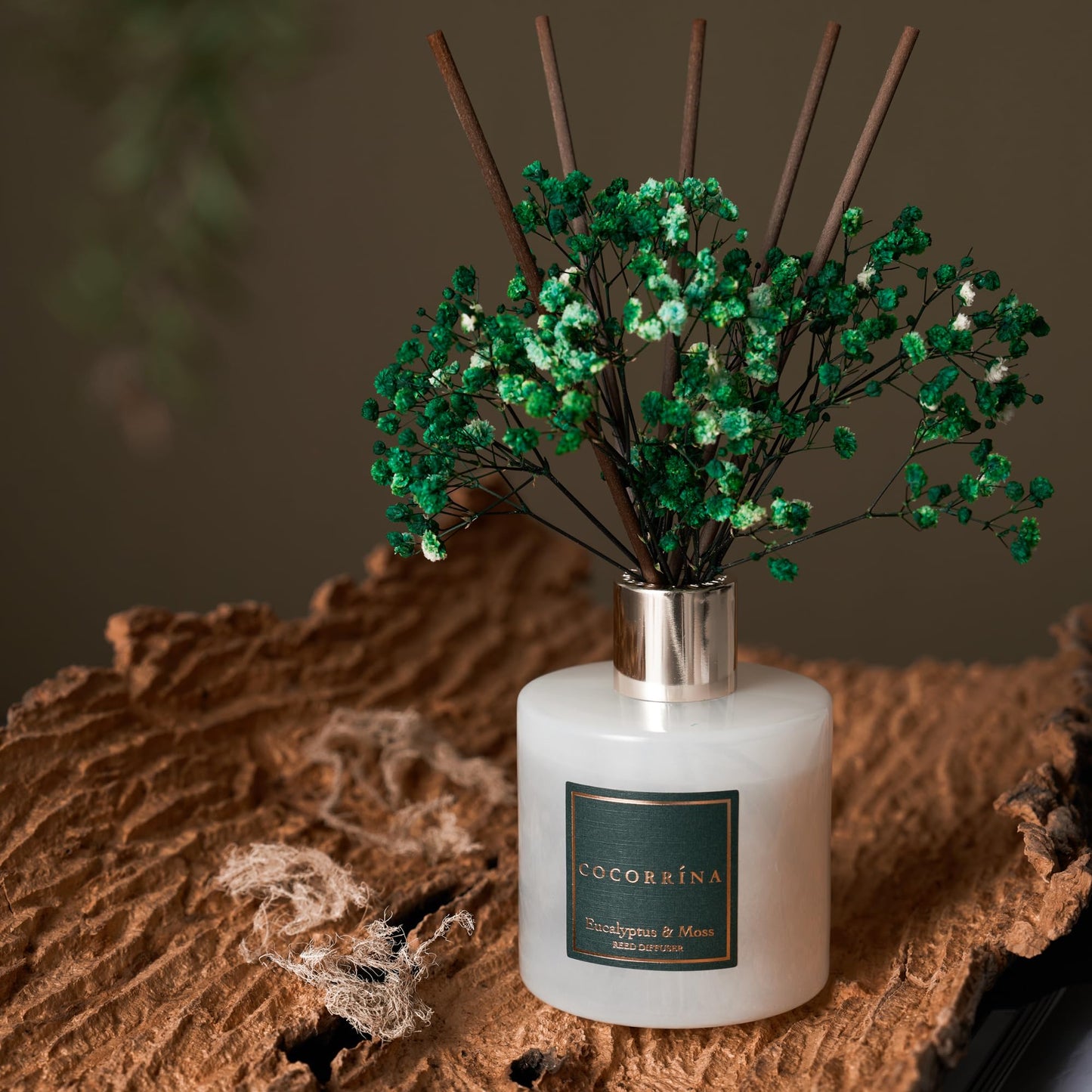 Cocorrína Reed Diffuser Sets- Eucalyptus & Moss Scented Diffuser with Sticks Home Fragrance Reed Diffuser for Bathroom Shelf Decor