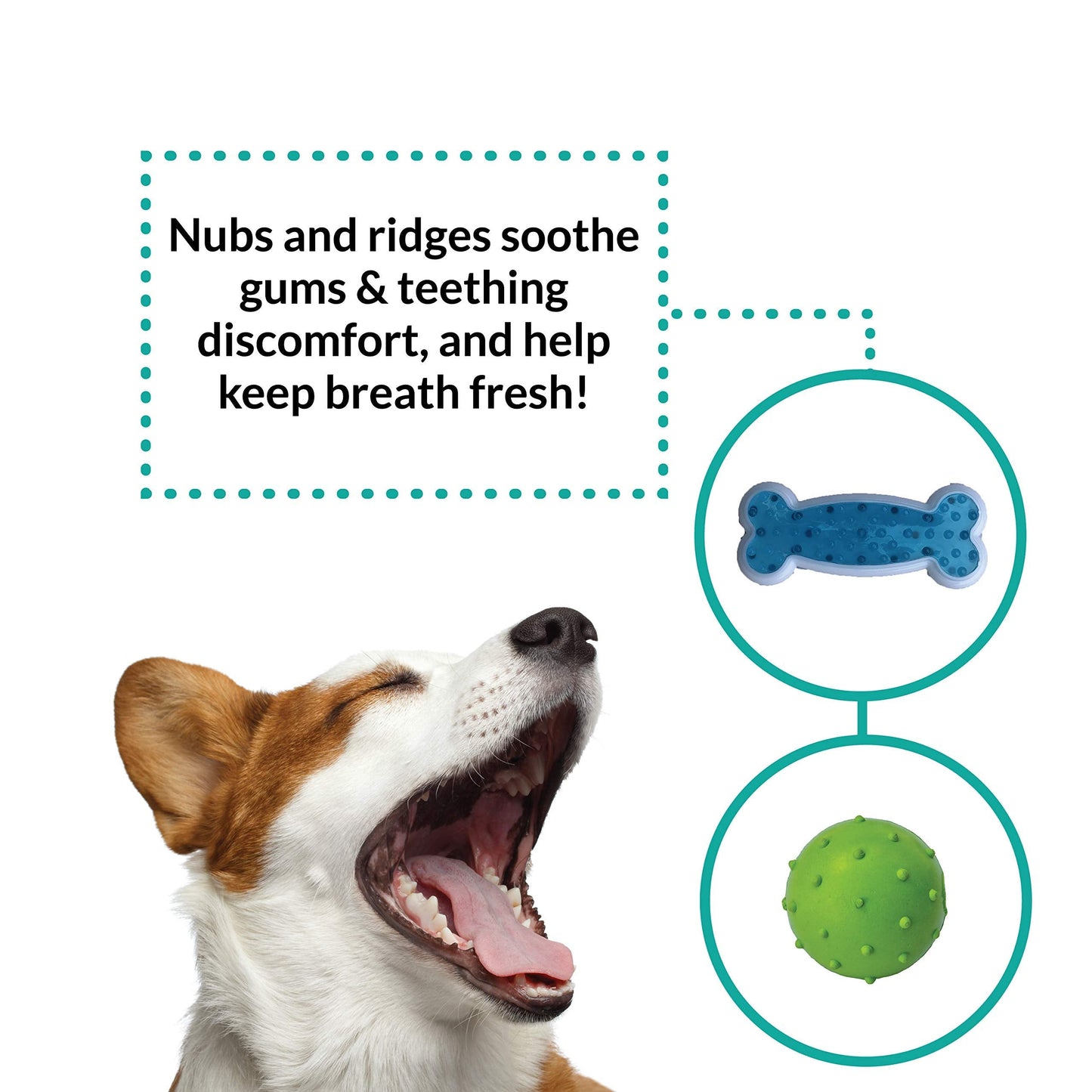 rocket & rex Dog Chew Toy Set for Small to Medium Breeds, Includes All Natural Rubber, Cotton, Ball & Rope Toys, Ideal Puppy Chew Toys for Teething, Reduces Destructive Chewing & Anxiety (Pack of 6)