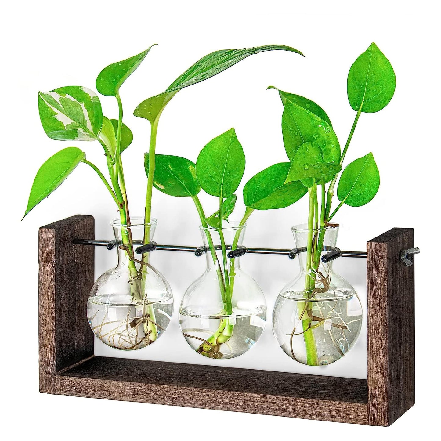Ivolador Wall Hanging Plant Propagation Station,Bulb Plant Terrarium with Wooden Stand,Unique Gardening Gifts for Women Plant Lovers,Hydroponic Indoor Planter Home Office Decor-3 Bulb Glass Vases